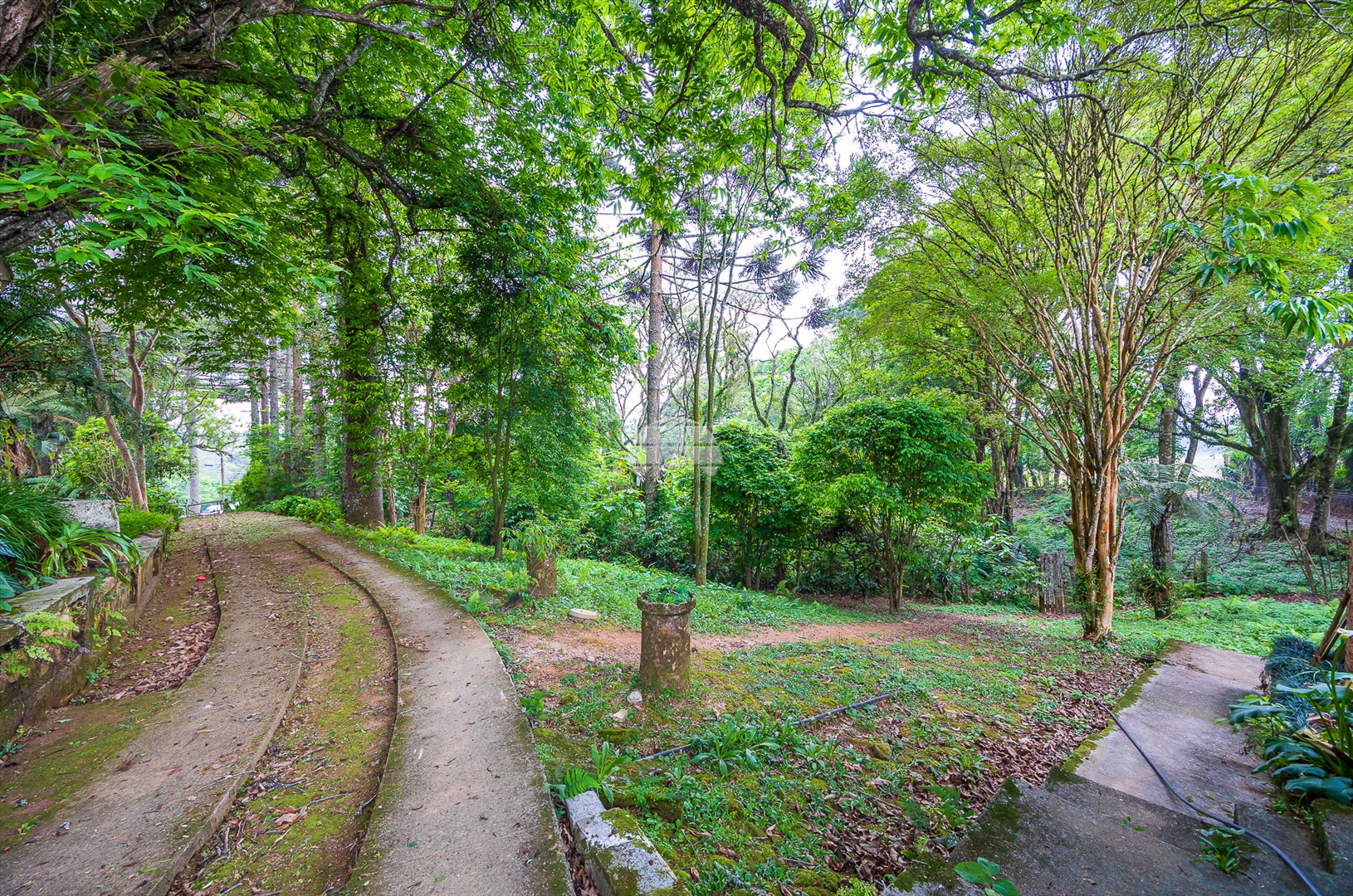 Terreno/Área à venda em Rondinha, Campo Largo — Kondor Imóveis: Imobiliária em Curitiba | Uma imobiliária pra você
