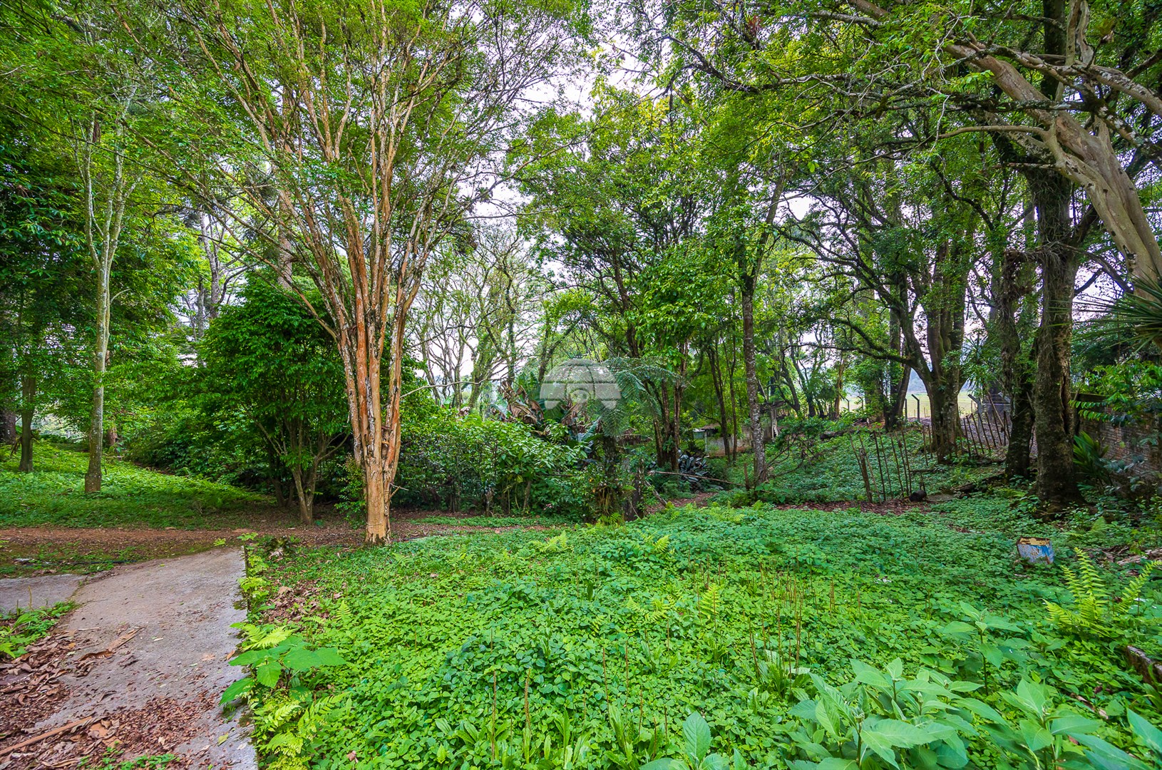 Terreno/Área à venda em Rondinha, Campo Largo — Kondor Imóveis: Imobiliária em Curitiba | Uma imobiliária pra você