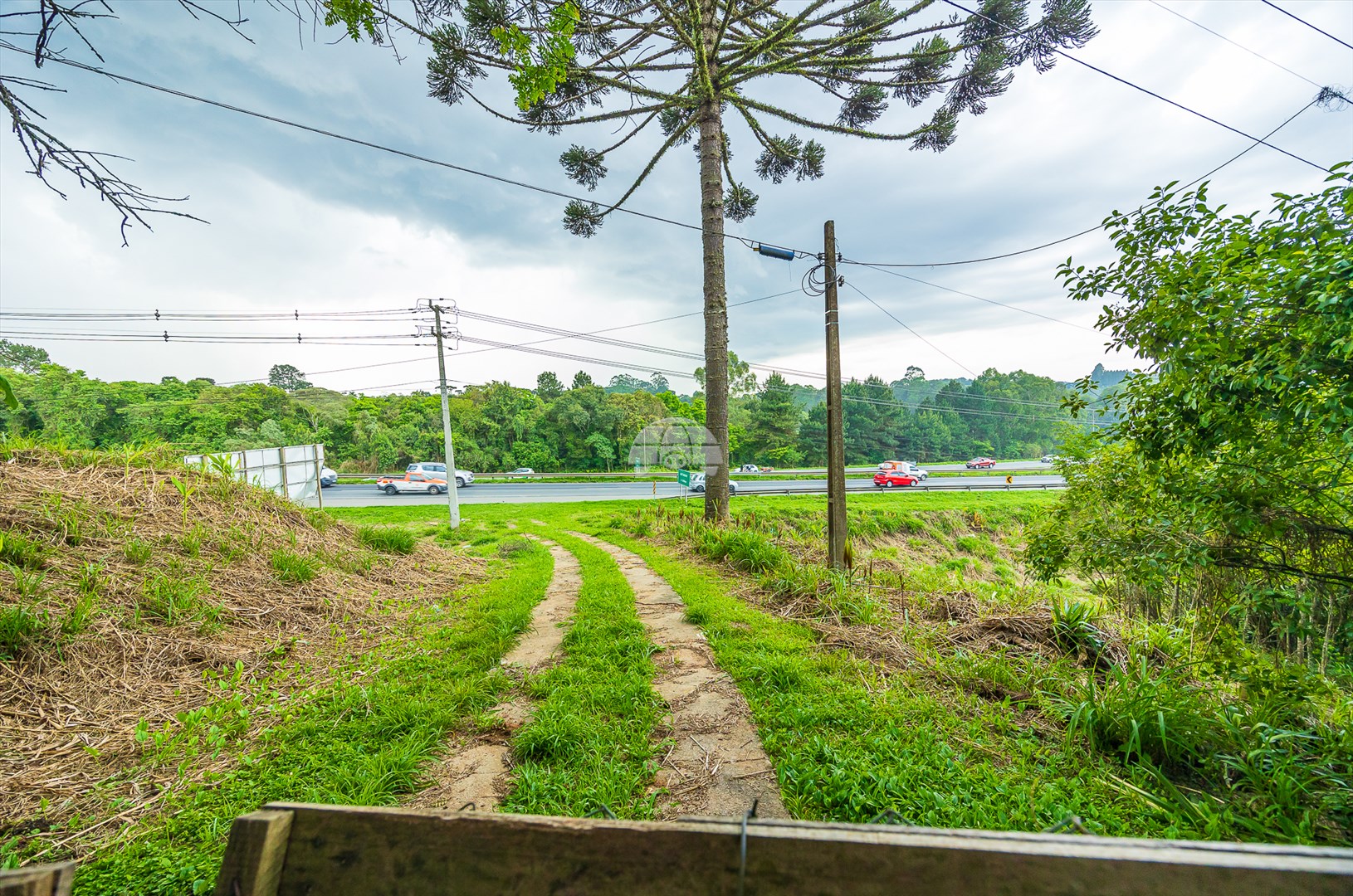 Terreno/Área à venda em Rondinha, Campo Largo — Kondor Imóveis: Imobiliária em Curitiba | Uma imobiliária pra você