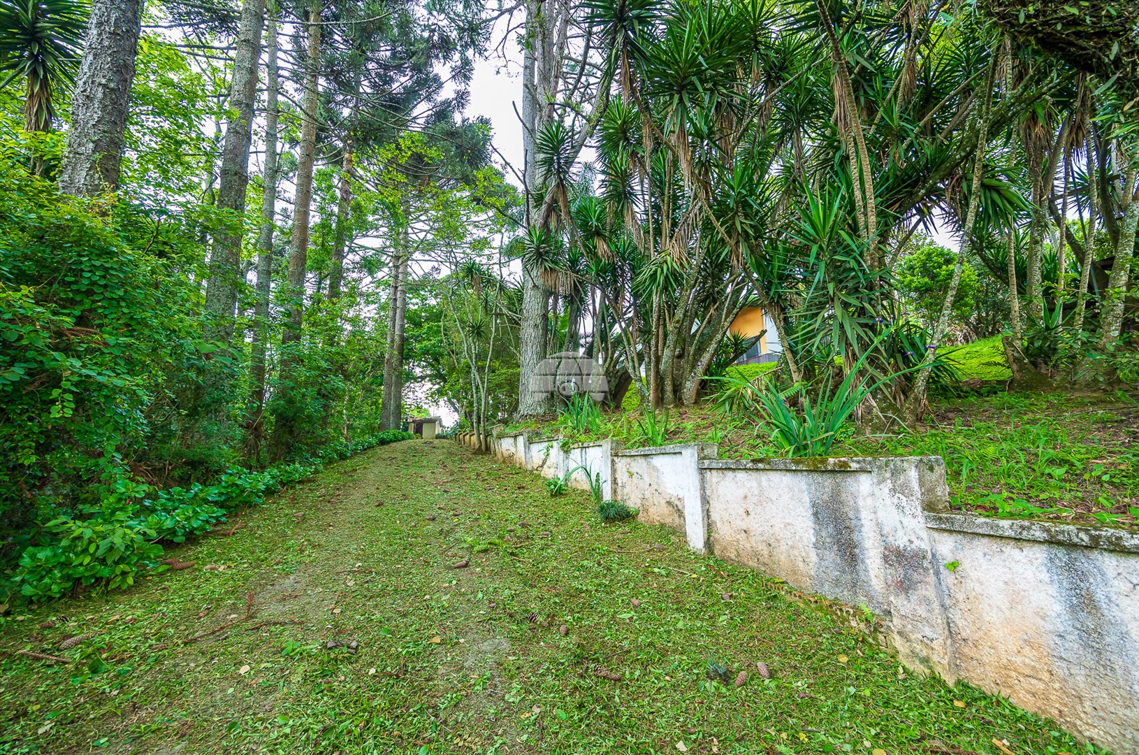 Terreno/Área à venda em Rondinha, Campo Largo — Kondor Imóveis: Imobiliária em Curitiba | Uma imobiliária pra você