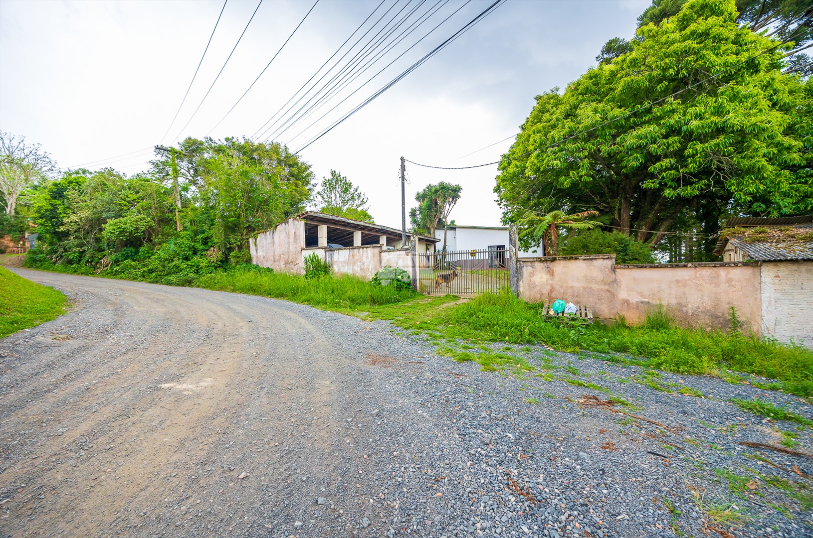 Terreno/Área à venda em Rondinha, Campo Largo — Kondor Imóveis: Imobiliária em Curitiba | Uma imobiliária pra você