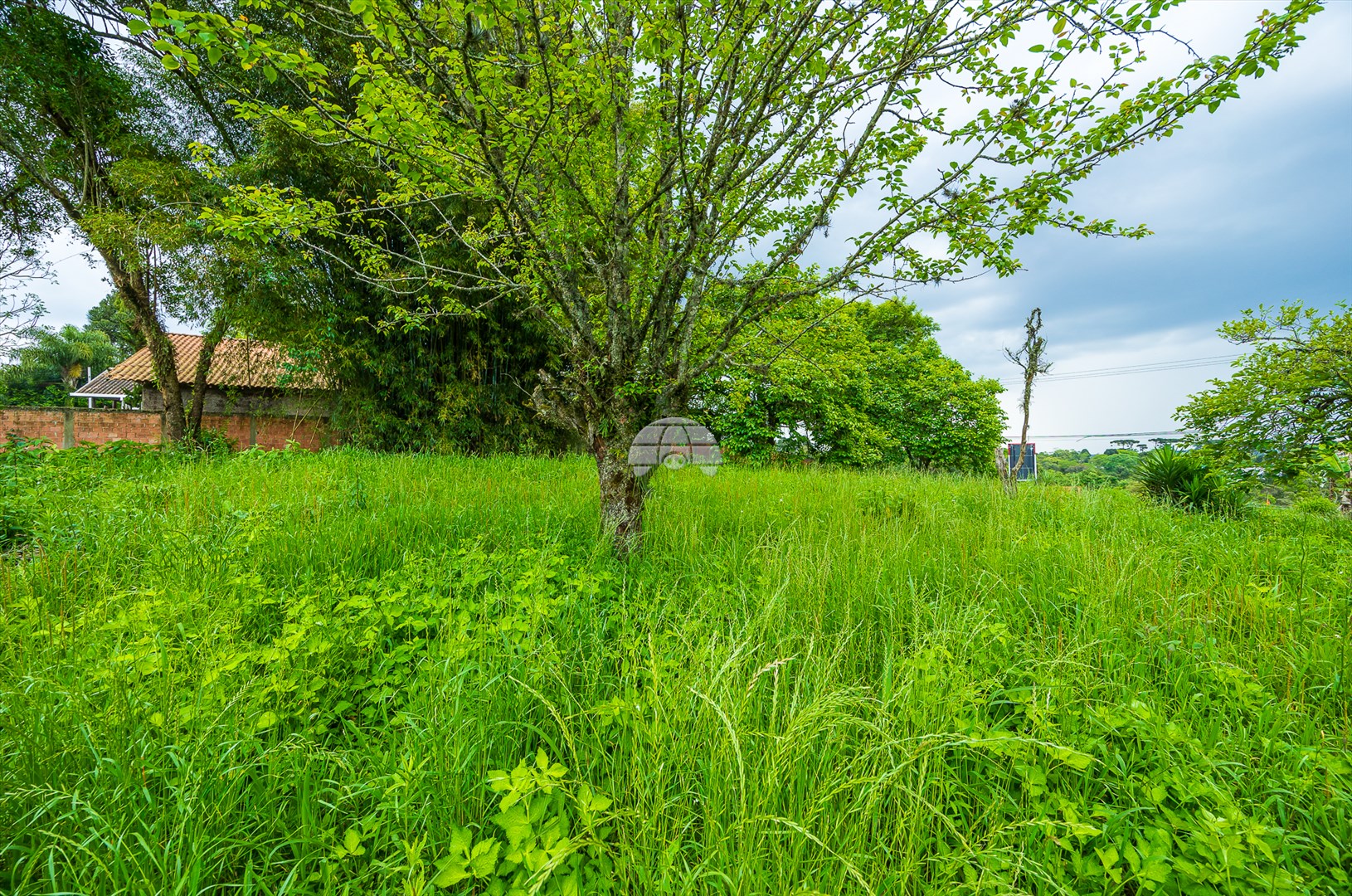 Terreno/Área à venda em Rondinha, Campo Largo — Kondor Imóveis: Imobiliária em Curitiba | Uma imobiliária pra você