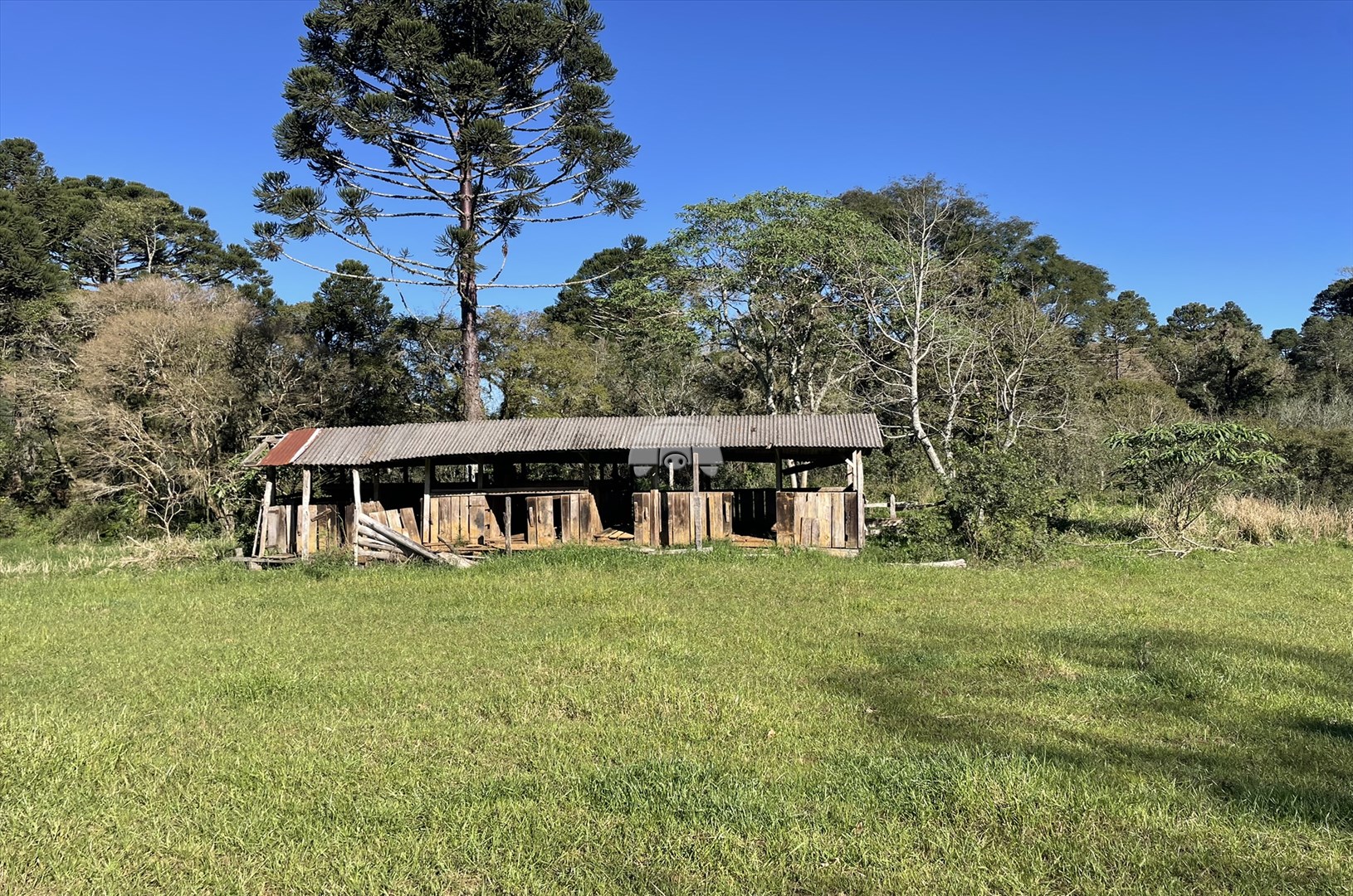 Terreno/Área à venda em Centro, Guarapuava — Portal Chave Fácil