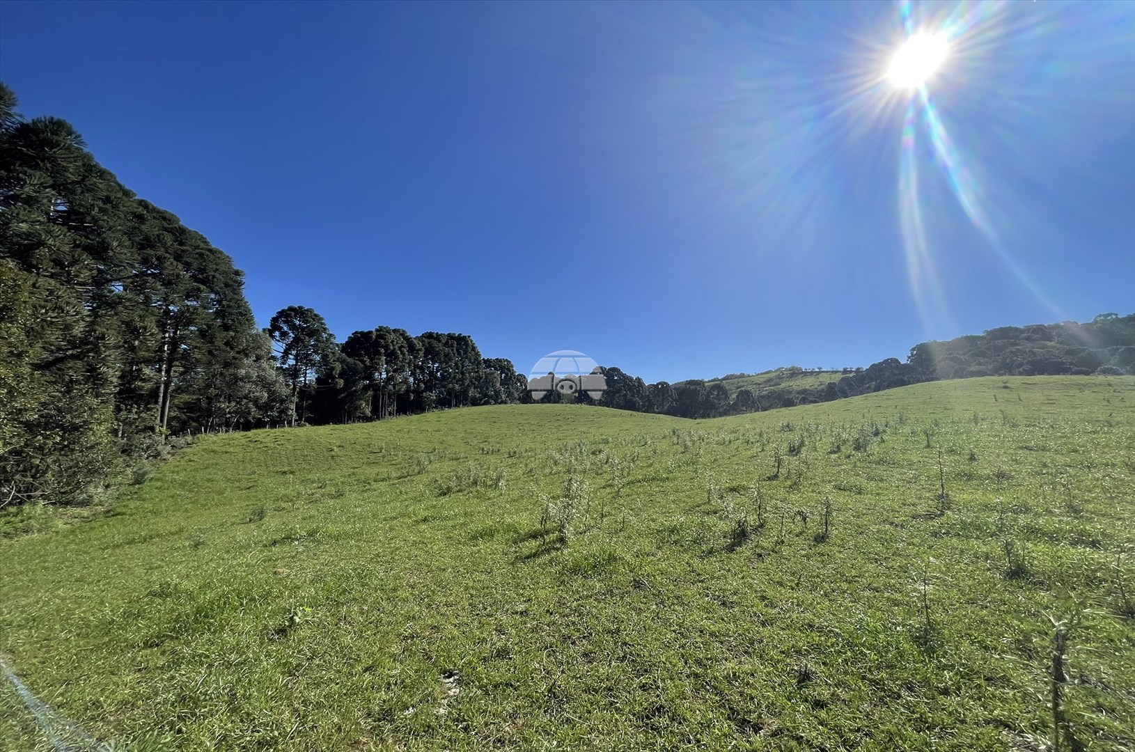 Terreno/Área à venda em Centro, Guarapuava — Portal Chave Fácil