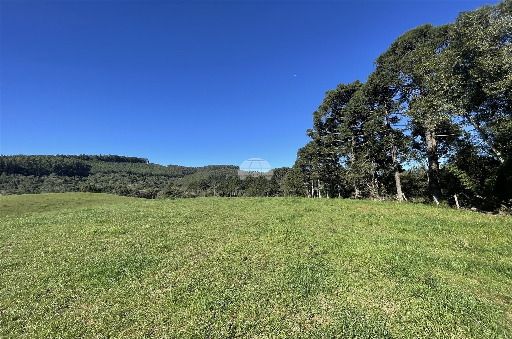 Terreno/Área à venda em Centro, Guarapuava — Portal Chave Fácil