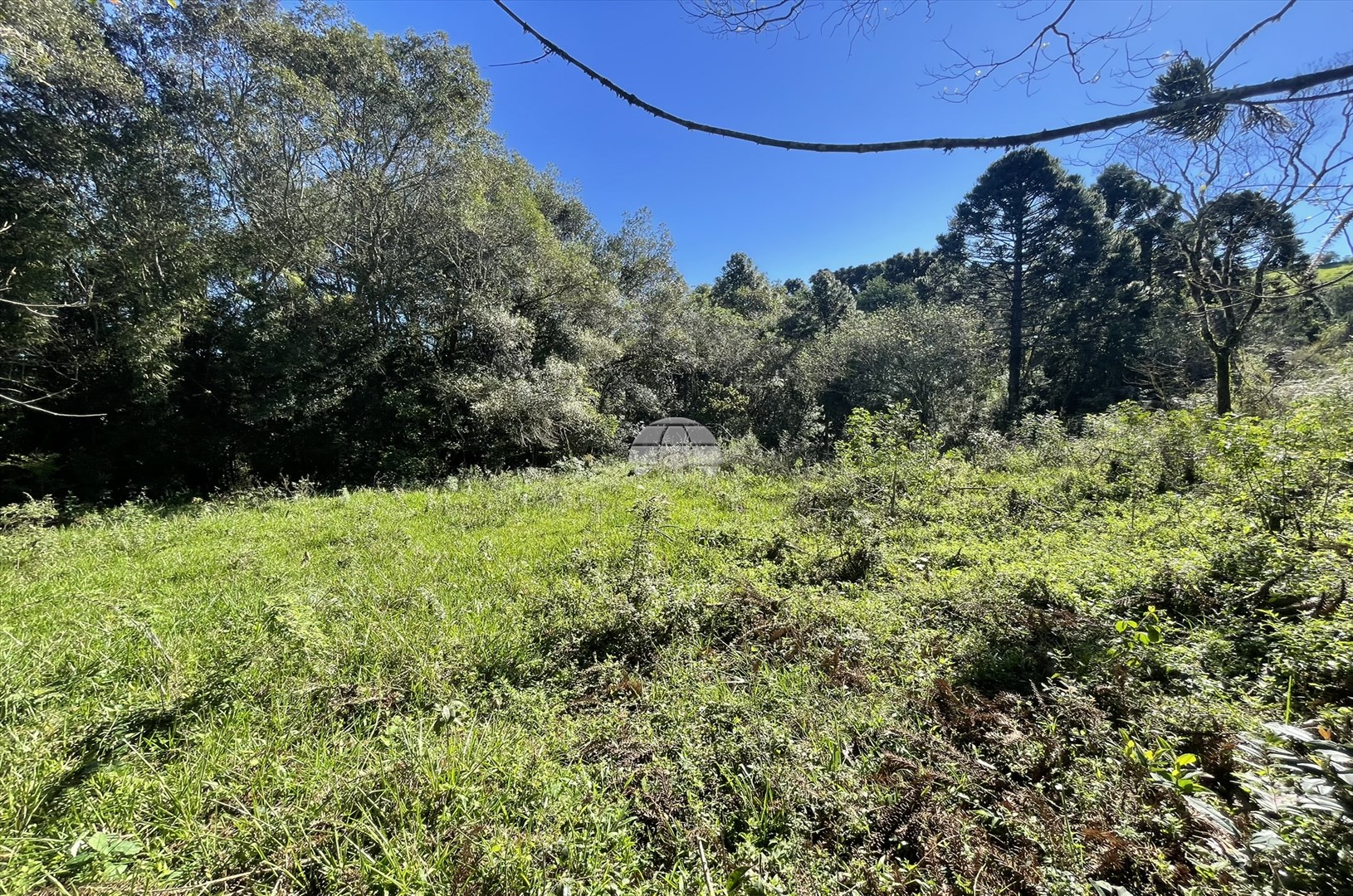 Terreno/Área à venda em Centro, Guarapuava — Portal Chave Fácil