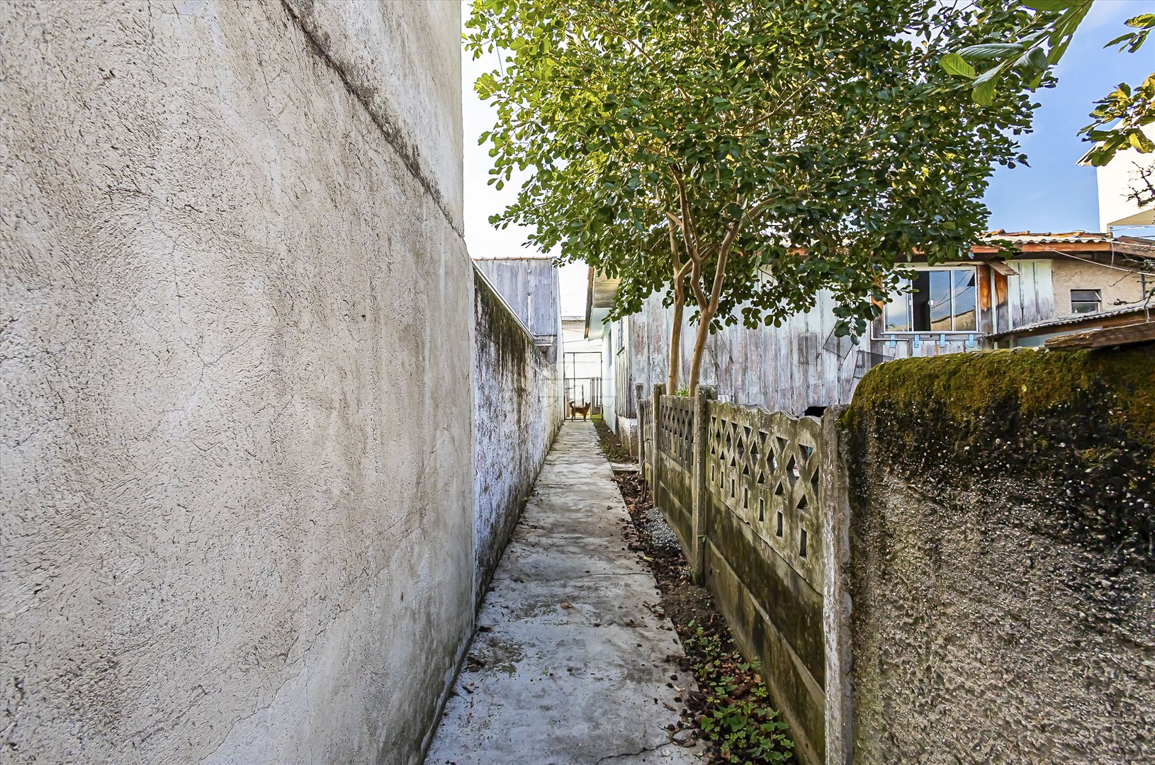 Terreno/Área à venda em Capão Raso, Curitiba — TESTE 12342