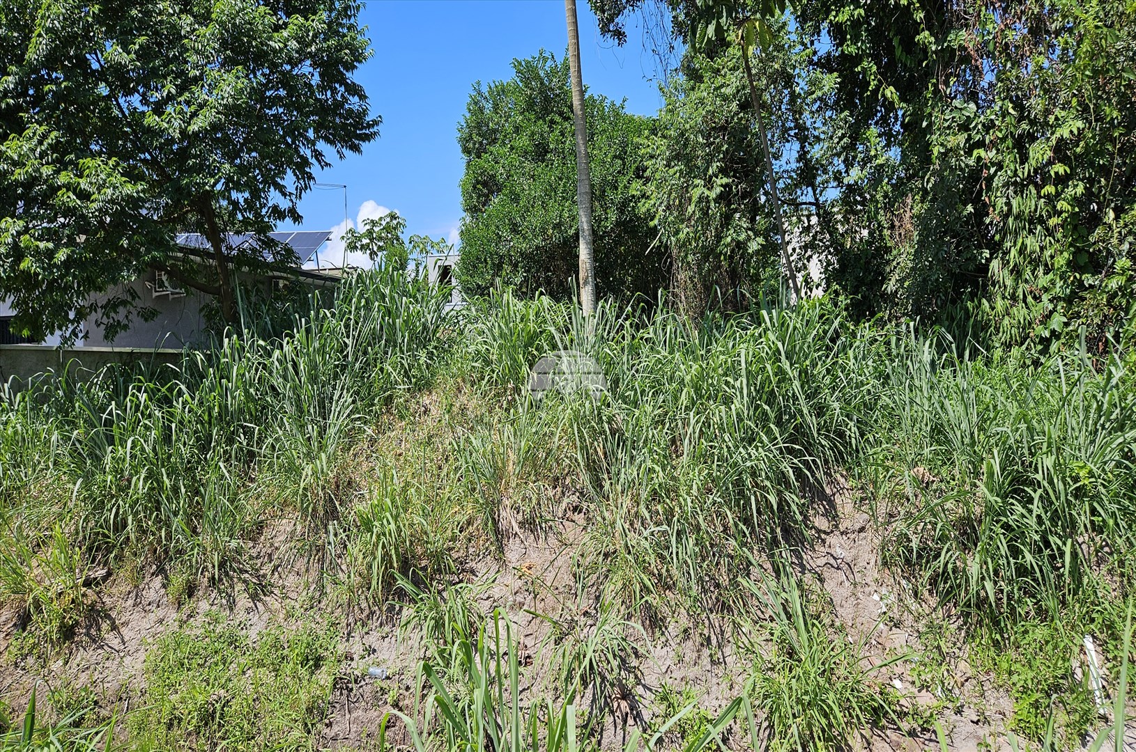 Terreno/Área à venda em Continental, Itapoá — Portal Chave Fácil