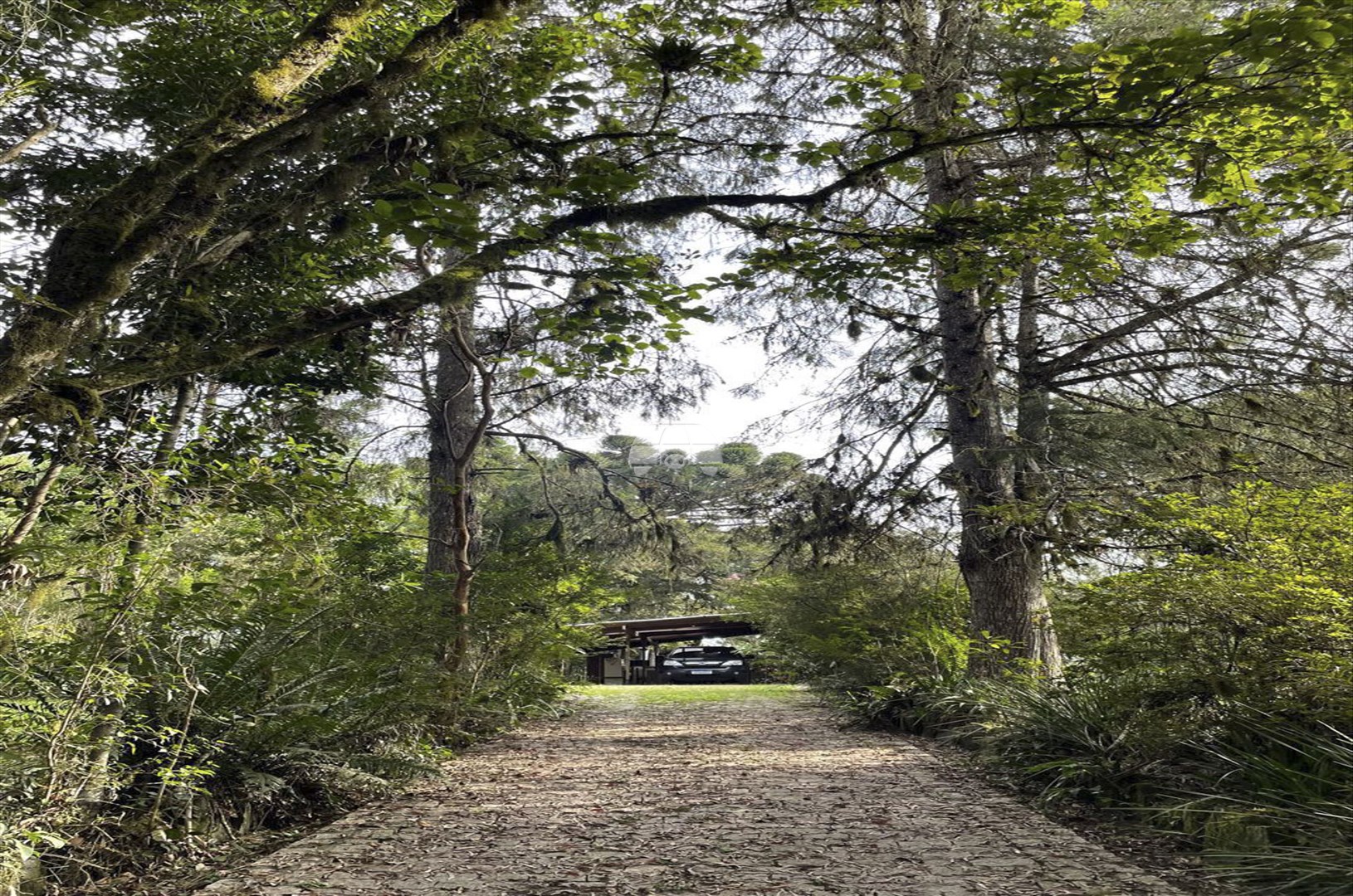 Fazenda à venda em Recreio Da Serra, Piraquara — Portal Chave Fácil