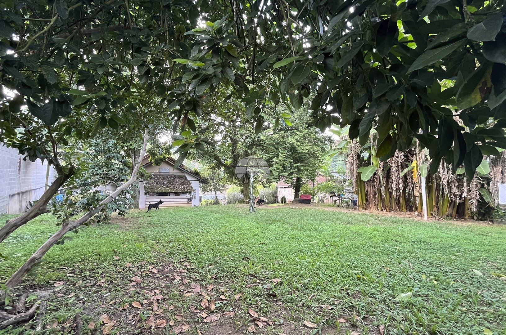 Terreno/Área à venda em Czerniewicz, Jaraguá do Sul — Portal Chave Fácil