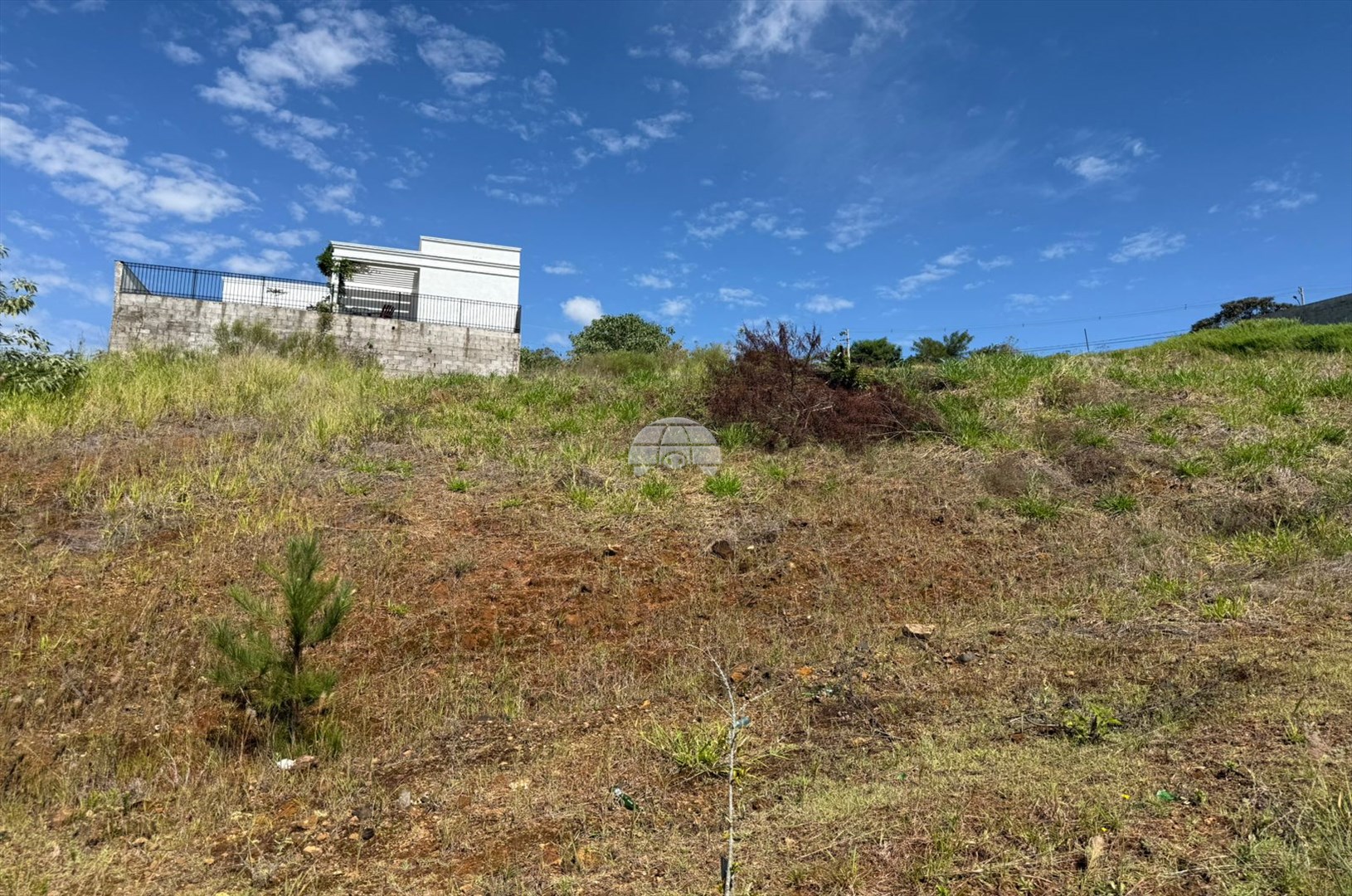 Terreno/Área à venda em Vila Isabel, Pato Branco — Portal Chave Fácil