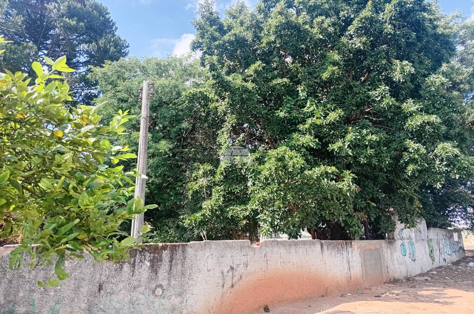 Terreno/Área à venda em Fazendinha, Curitiba — Portal Chave Fácil