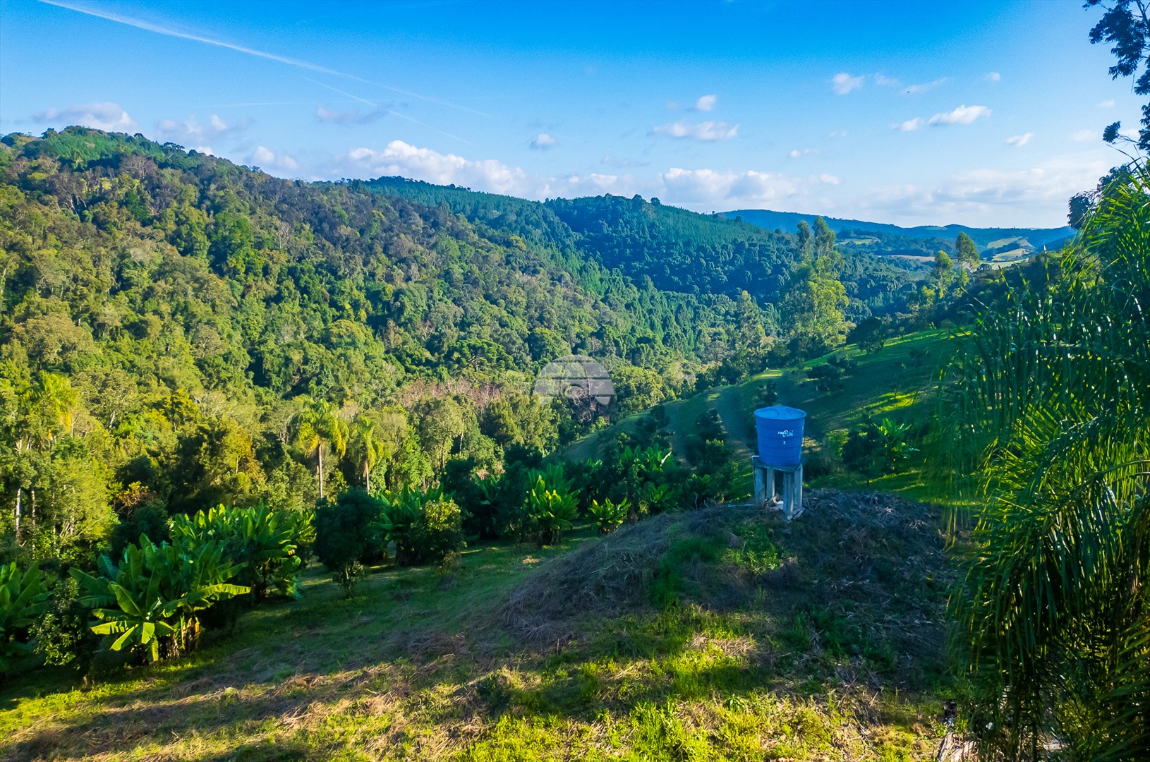 Terreno/Área à venda em Bateias, Campo Largo — Portal Chave Fácil