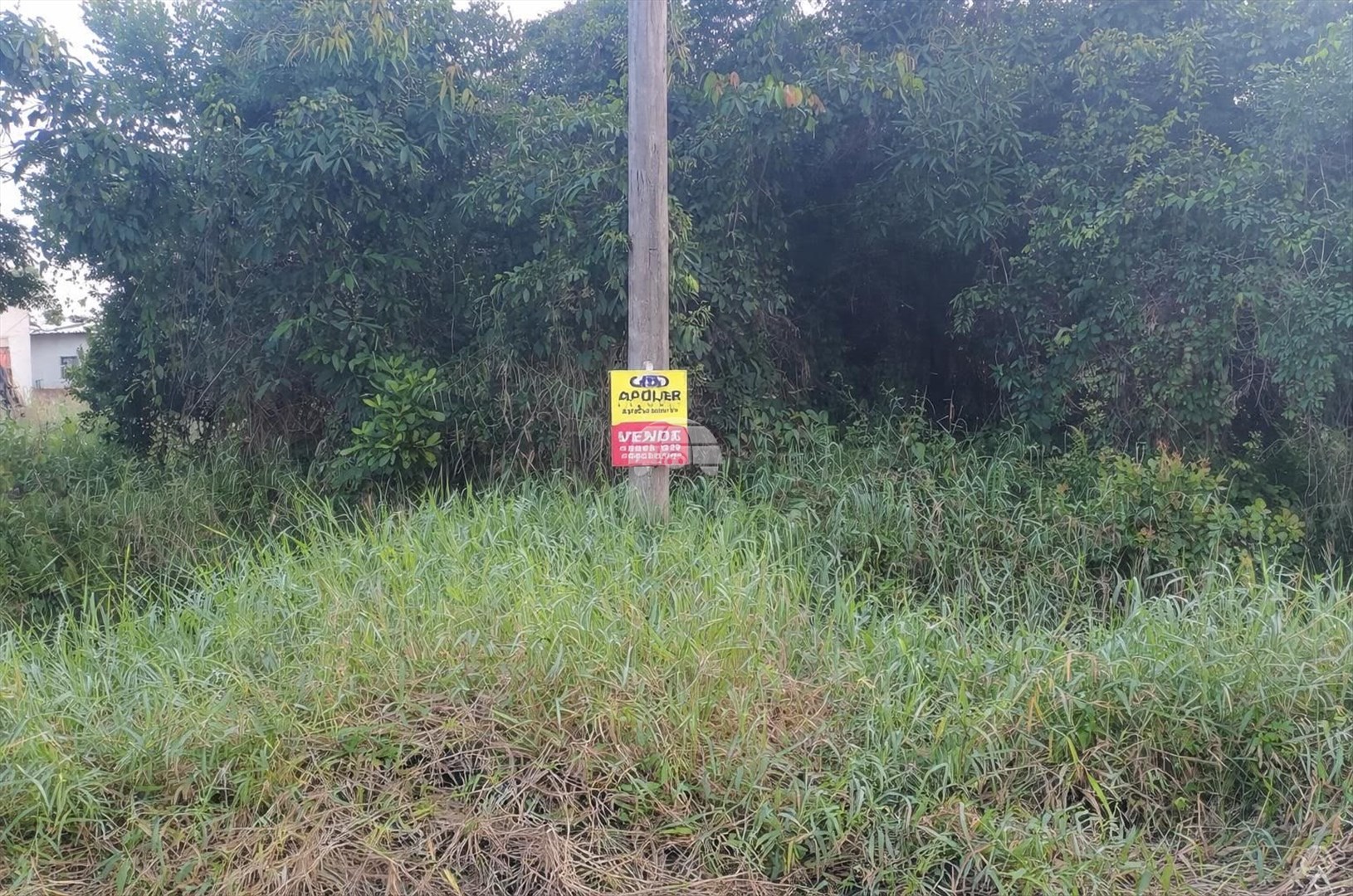 Terreno/Área à venda em Cambiju, Itapoá — Portal Chave Fácil