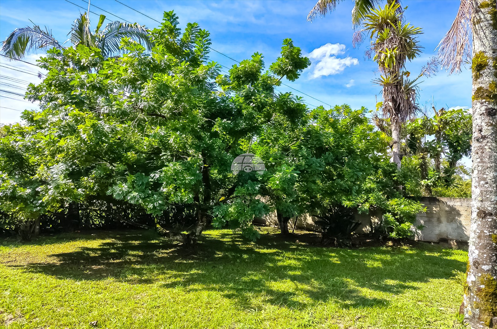 Terreno/Área à venda em Centro, Morretes — Portal Chave Fácil