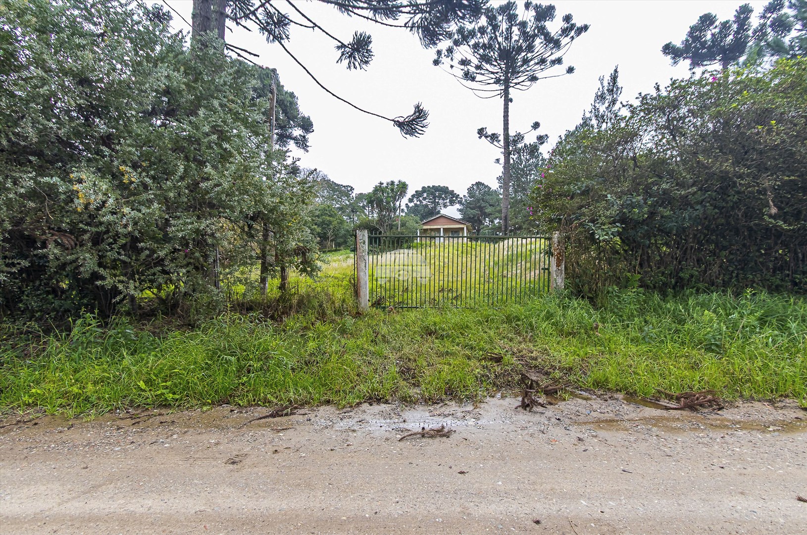 Terreno/Área à venda em Jardim Primavera, Piraquara — Portal Chave Fácil