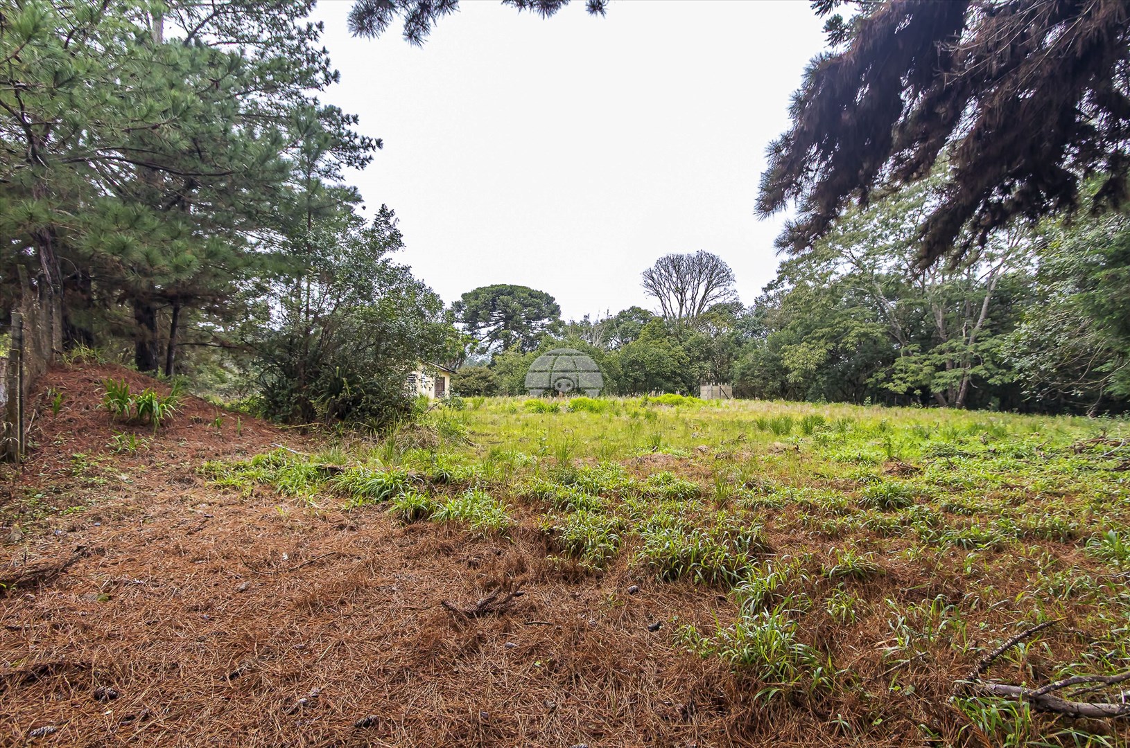 Terreno/Área à venda em Jardim Primavera, Piraquara — Portal Chave Fácil