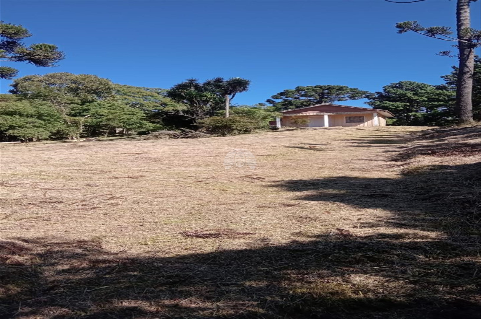 Terreno/Área à venda em Jardim Primavera, Piraquara — Portal Chave Fácil