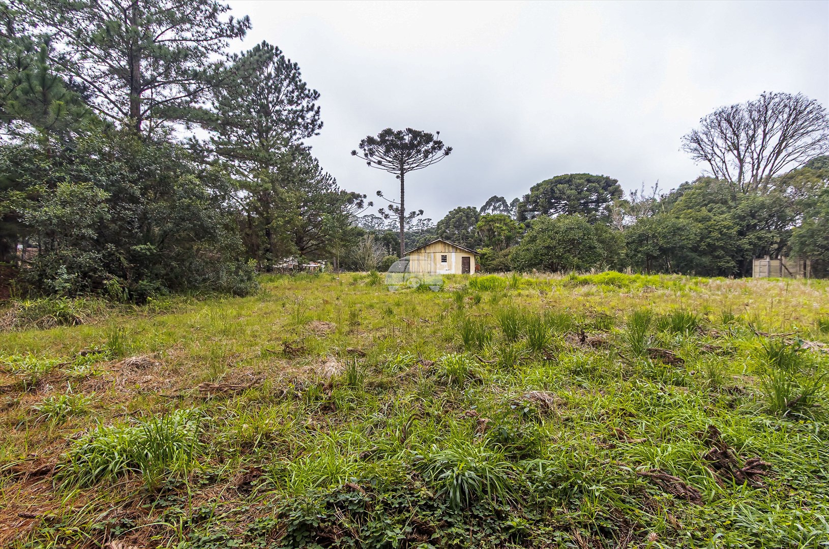 Terreno/Área à venda em Jardim Primavera, Piraquara — Portal Chave Fácil