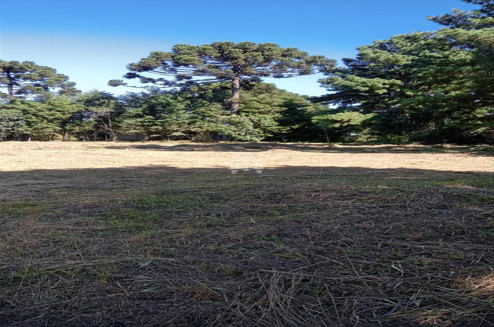 Terreno/Área à venda em Jardim Primavera, Piraquara — Portal Chave Fácil
