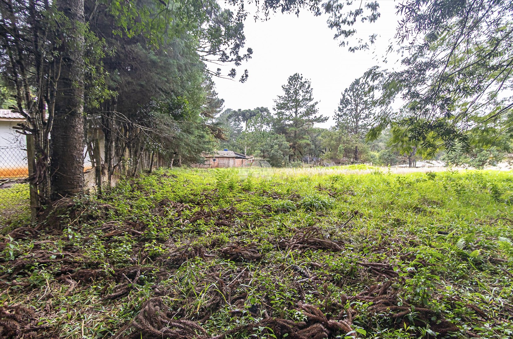 Terreno/Área à venda em Jardim Primavera, Piraquara — Portal Chave Fácil