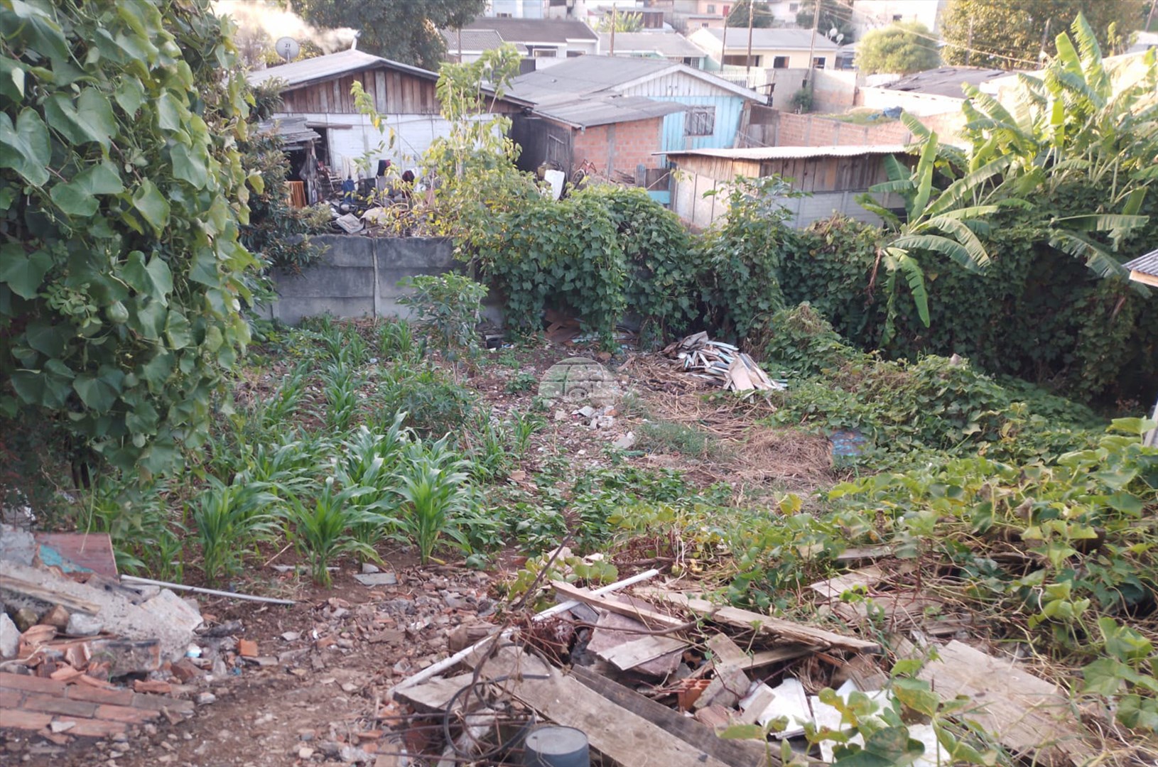 Terreno/Área à venda em Morro Alto, Guarapuava — Portal Chave Fácil
