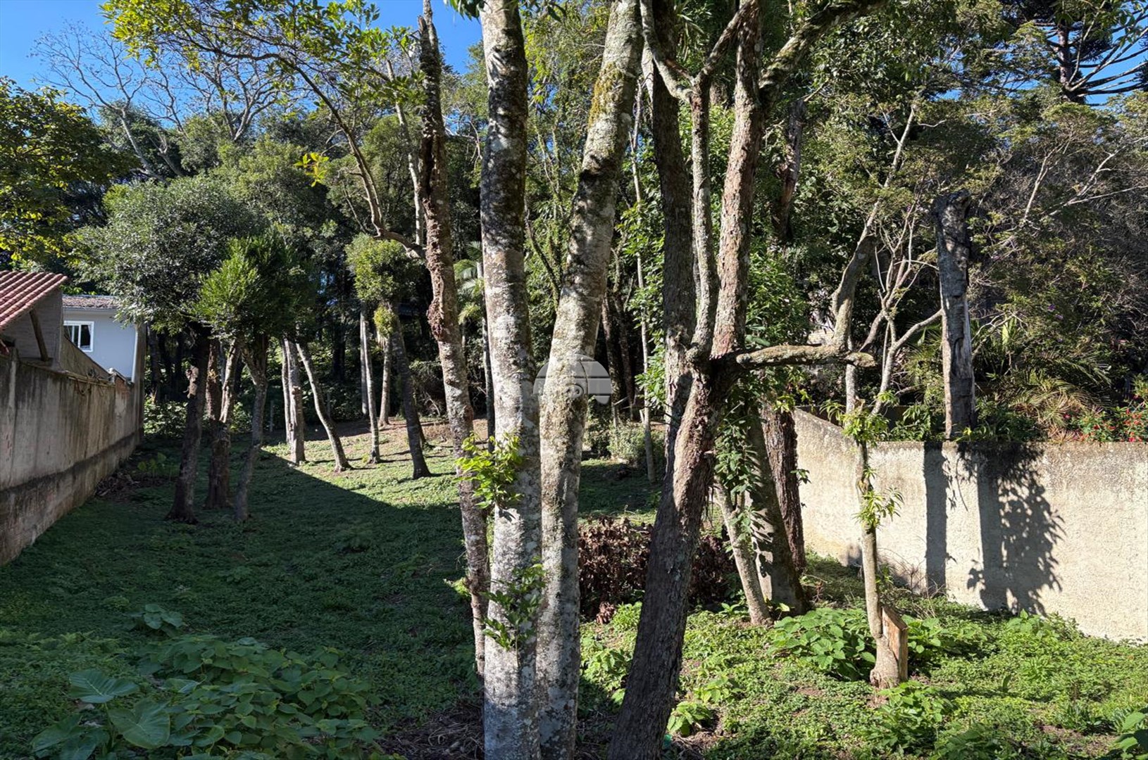 Terreno à venda em Barreirinha, Curitiba — GOMES CONSULTOR IMOBILIARIO LTDA.