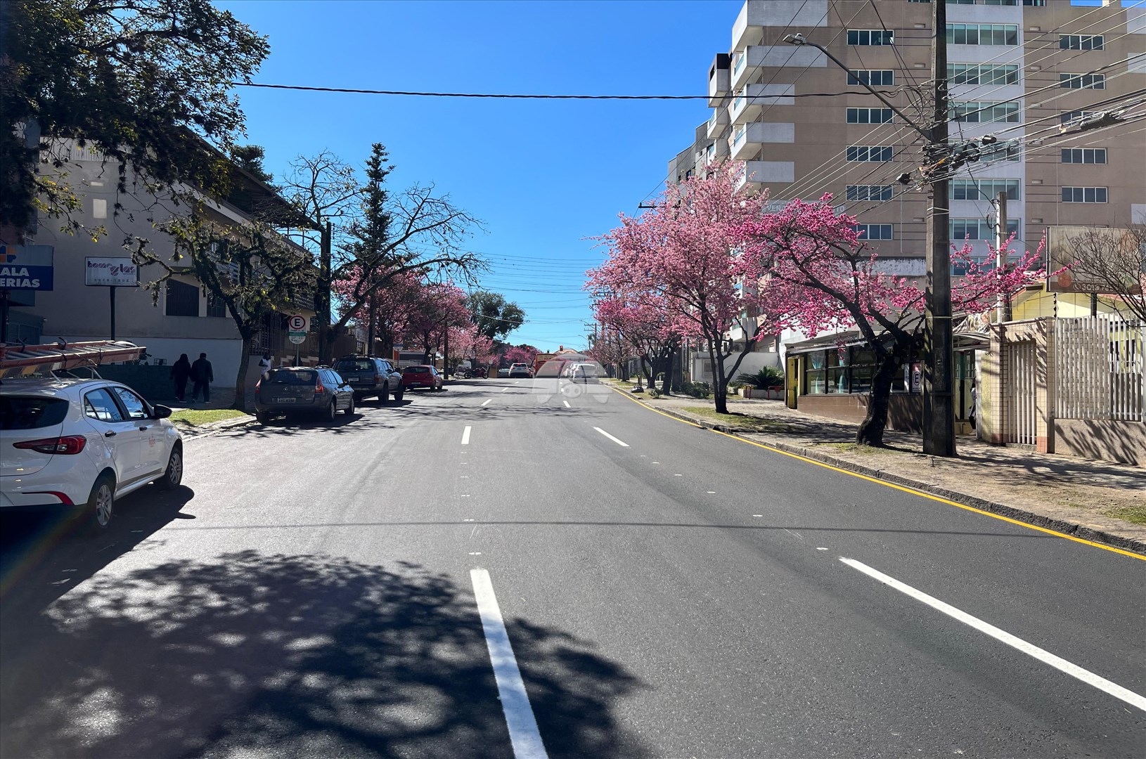 Apartamento à venda em Cabral, Curitiba — Imobiliária Razão