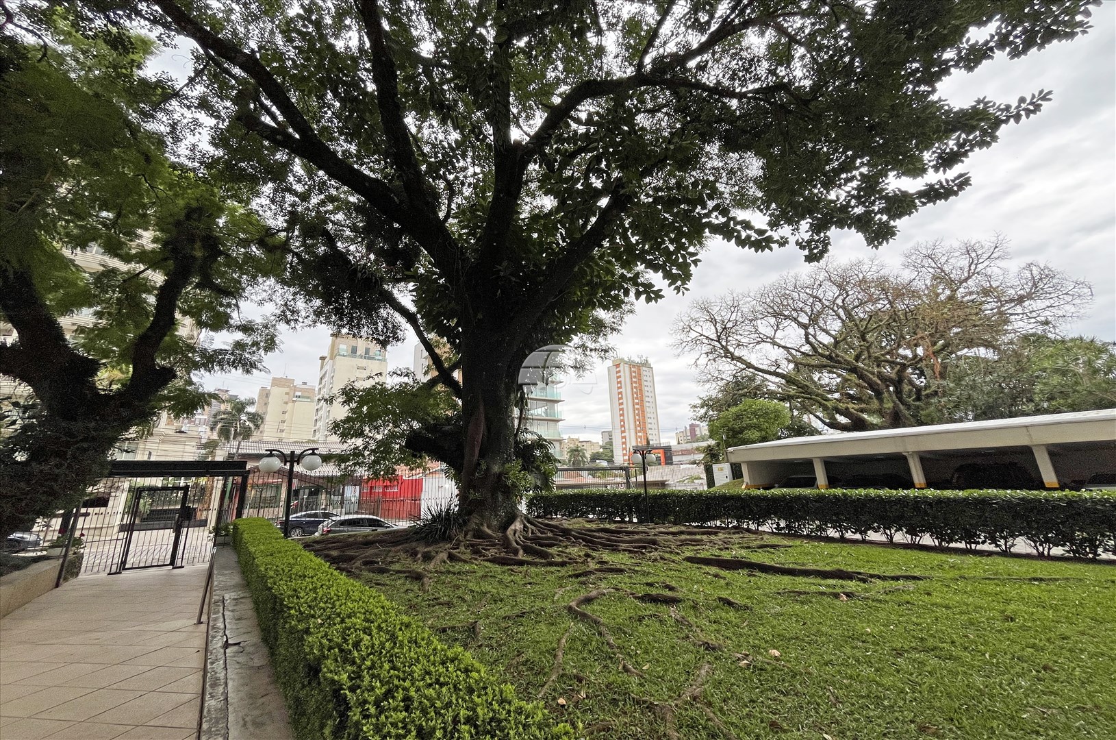 Apartamento para alugar em Bigorrilho, Curitiba — Construa Assessoria Imobiliária