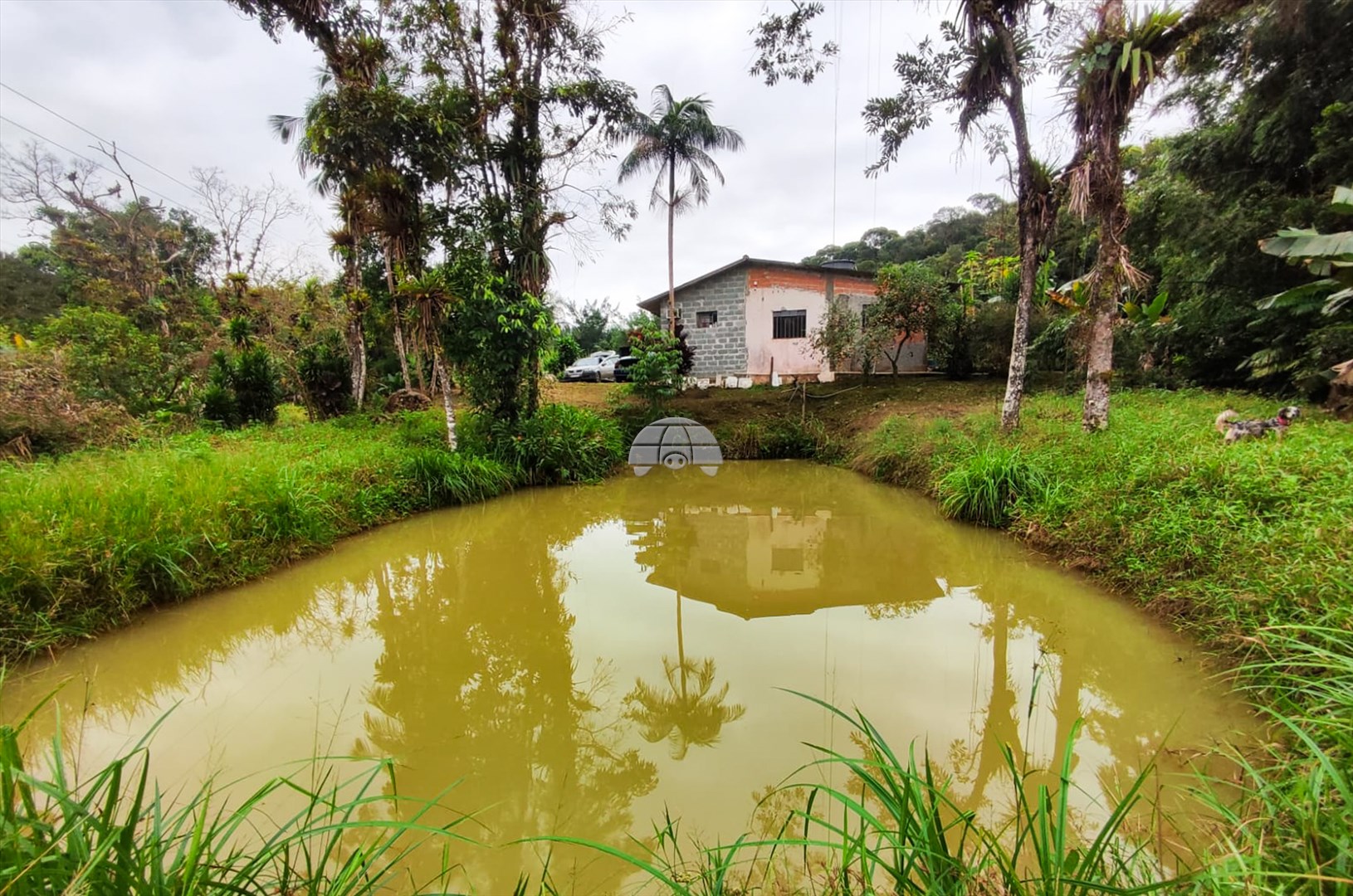 Fazenda à venda em Centro, Morretes — Portal Chave Fácil