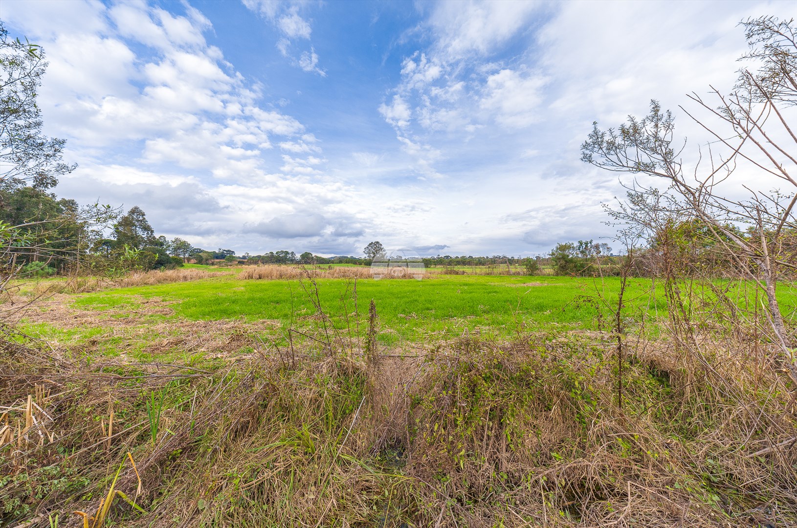 Fazenda à venda em Bugre, Balsa Nova — Portal Chave Fácil