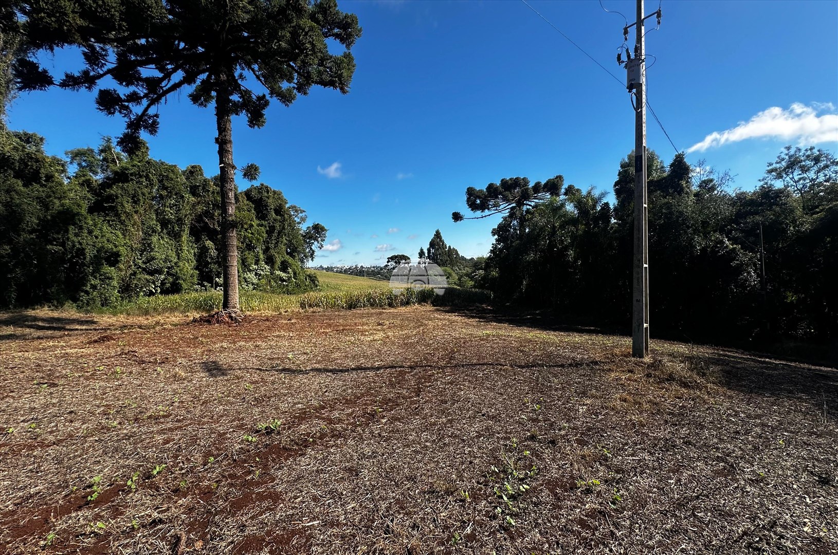 Terreno/Área à venda em Zona Rural, Pato Branco — Portal Chave Fácil