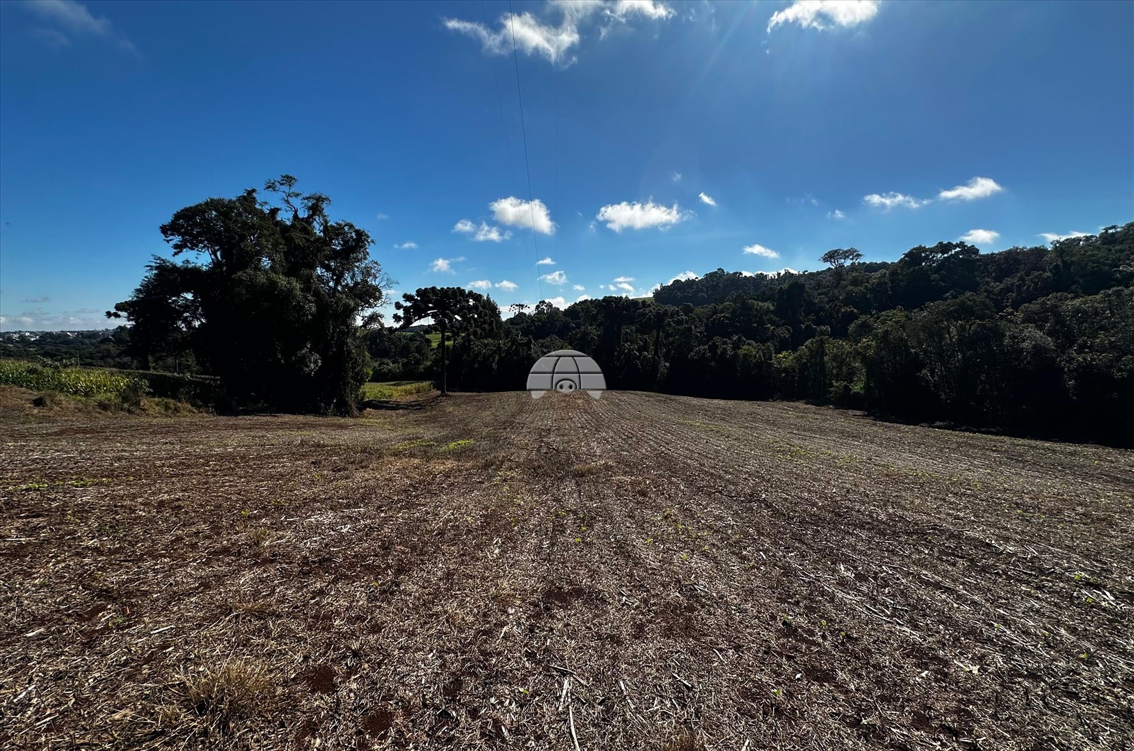 Terreno/Área à venda em Zona Rural, Pato Branco — Portal Chave Fácil