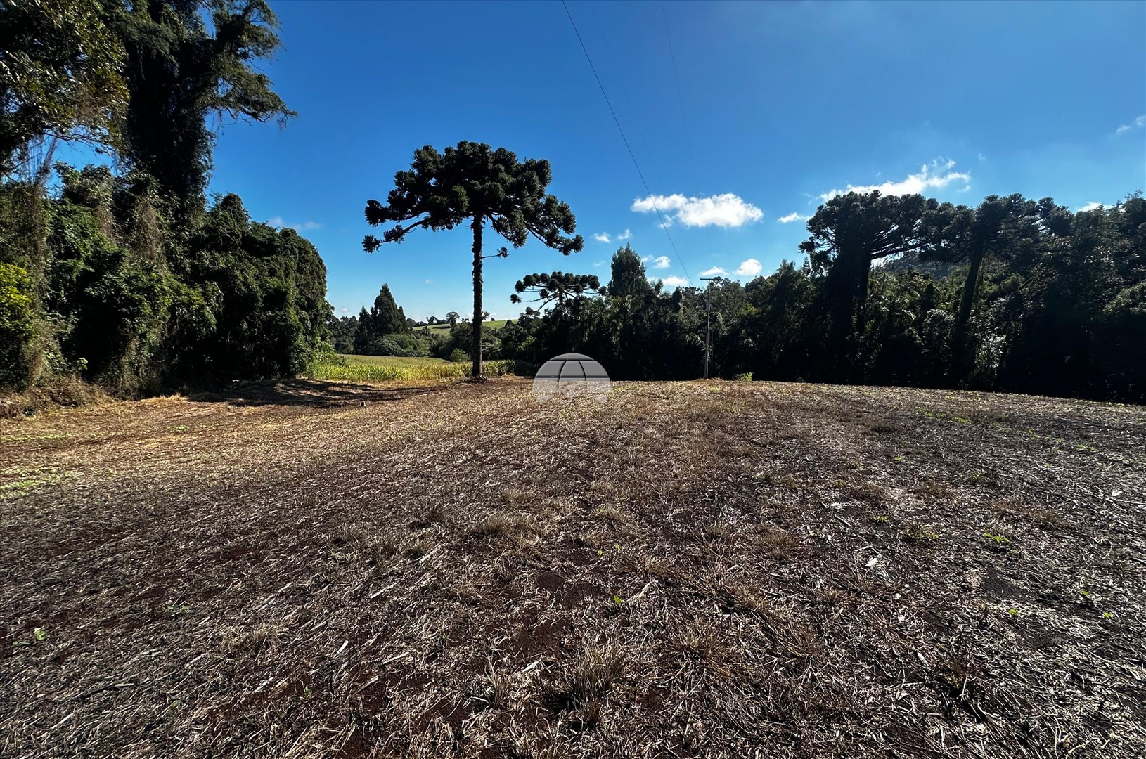 Terreno/Área à venda em Zona Rural, Pato Branco — Portal Chave Fácil