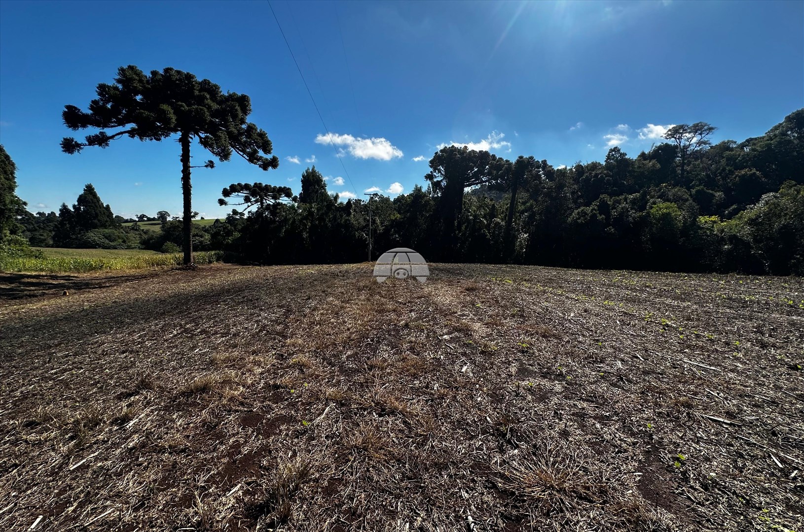 Terreno/Área à venda em Zona Rural, Pato Branco — Portal Chave Fácil