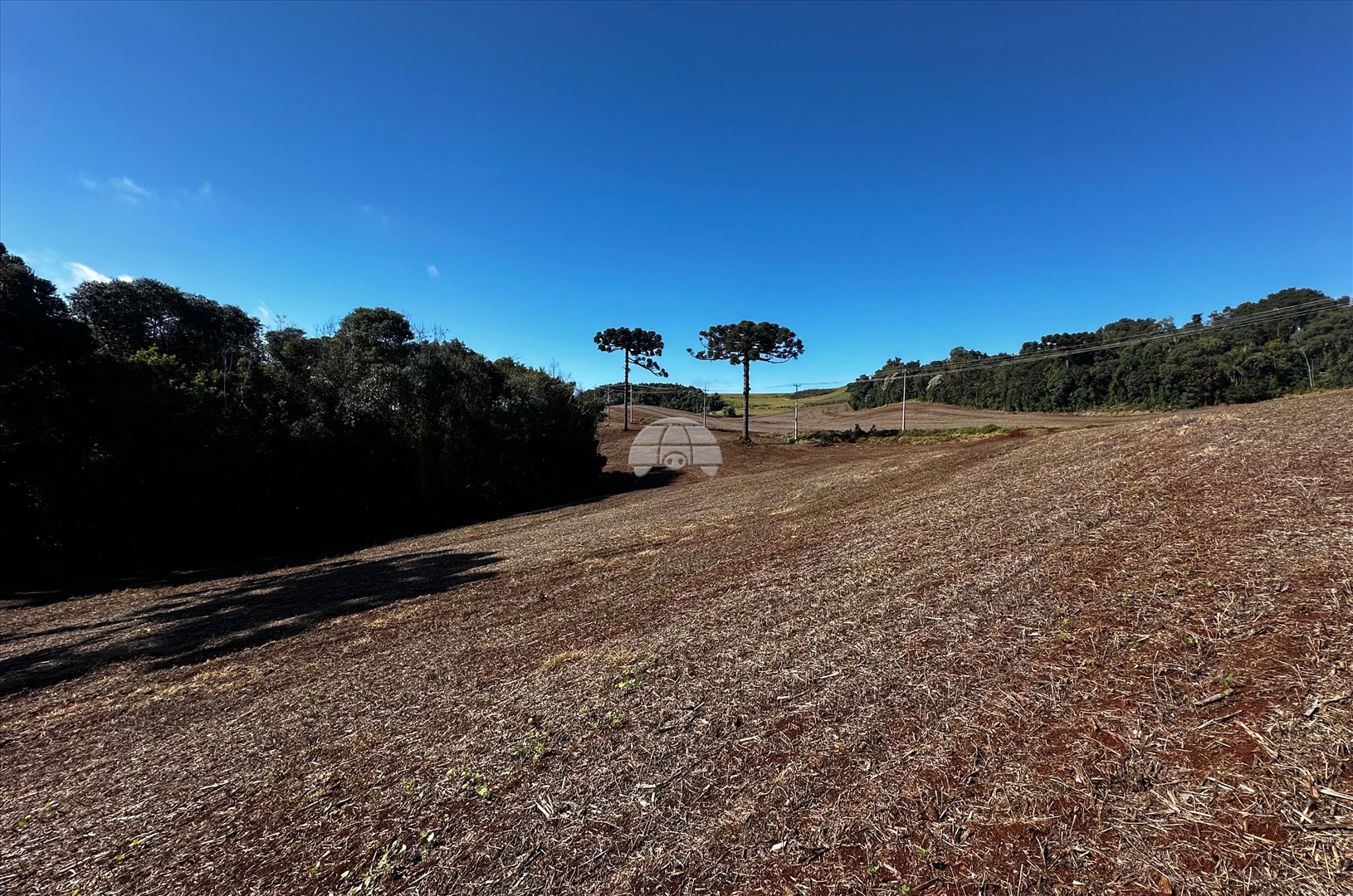 Terreno/Área à venda em Zona Rural, Pato Branco — Portal Chave Fácil