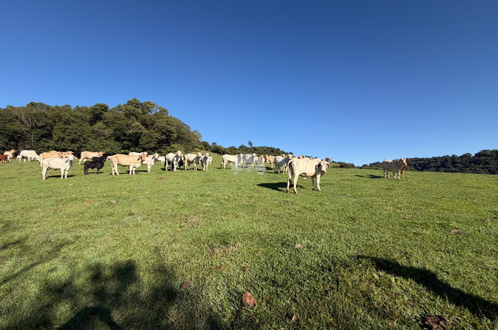 Terreno/Área à venda em Zona Rural, Curitiba — Portal Chave Fácil