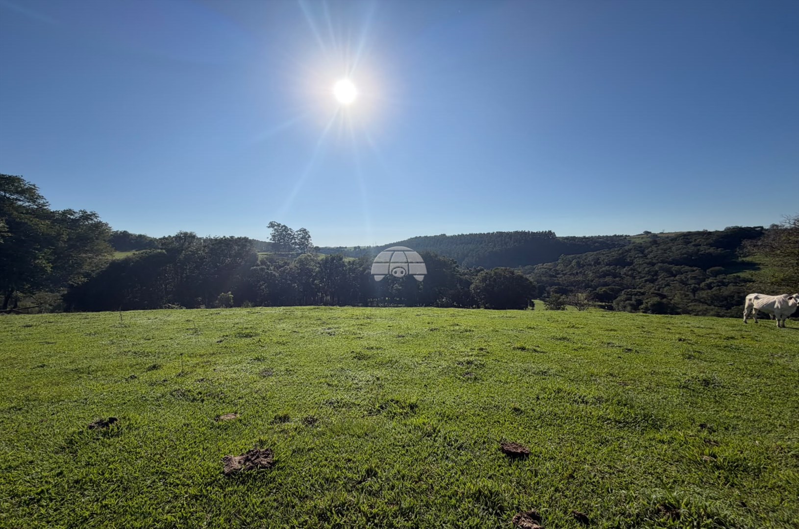 Terreno/Área à venda em Zona Rural, Curitiba — Portal Chave Fácil
