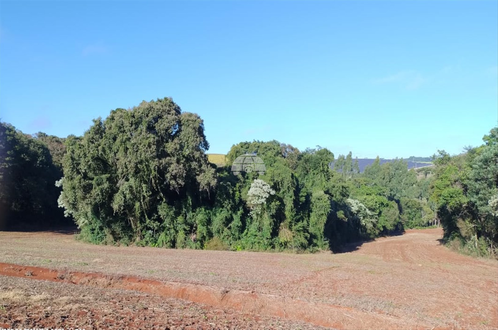 Terreno/Área à venda em Zona Rural, Pato Branco — Portal Chave Fácil