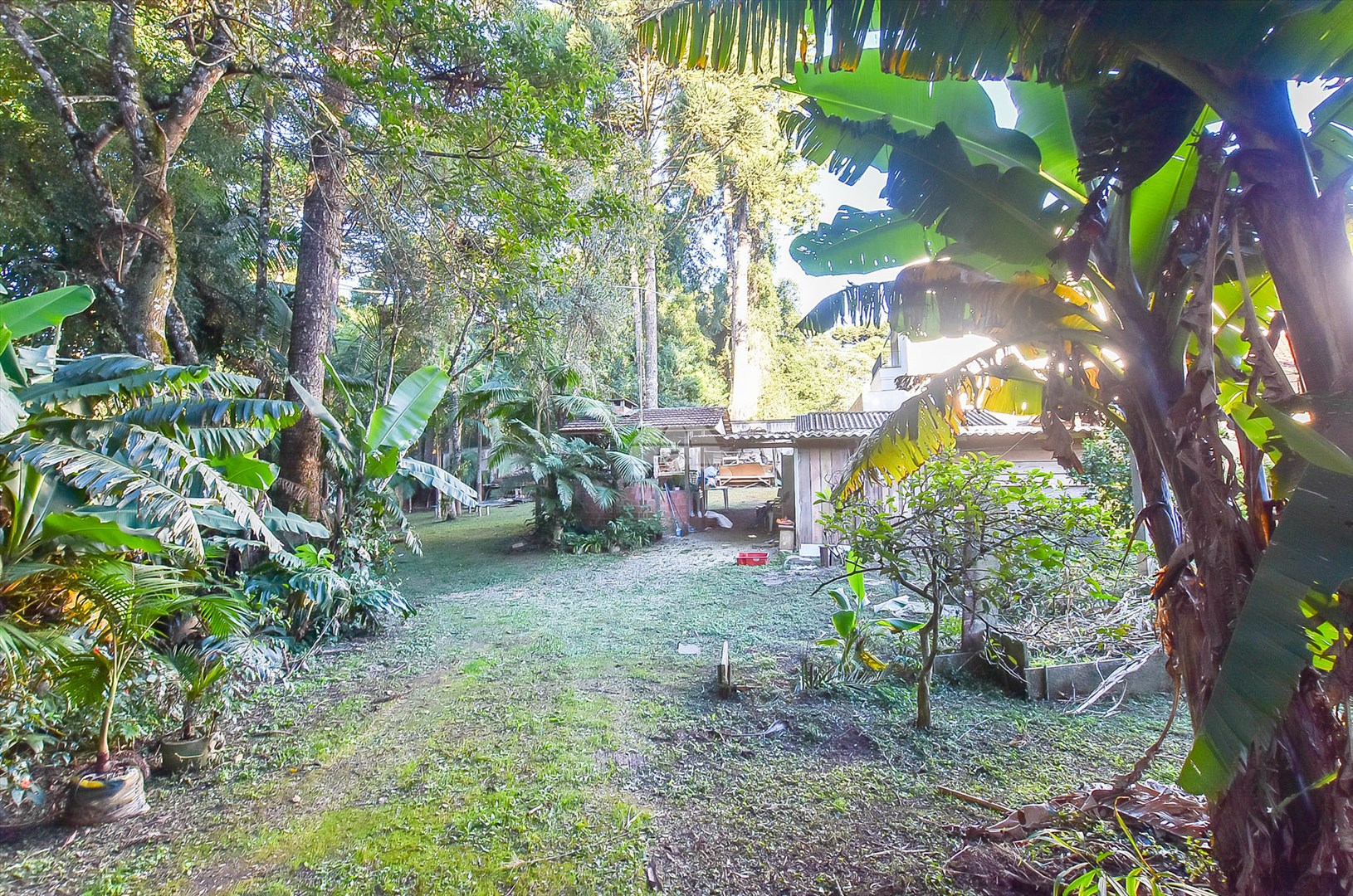 Terreno Residencial para Venda no Bairro Santa Cândida ref. 228362 (8 / 10)