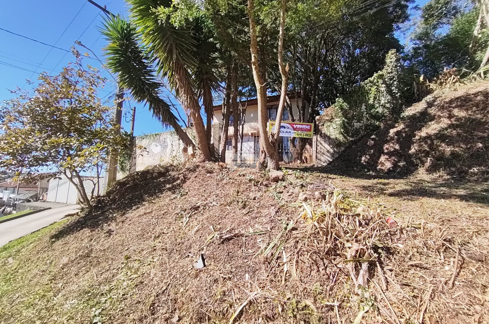 Terreno/Área à venda em Jardim São Carlos, Almirante Tamandaré — Portal Chave Fácil