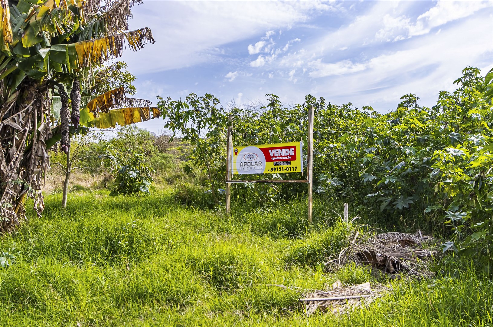 Terreno/Área à venda em Miringuava, São José dos Pinhais — Portal Chave Fácil