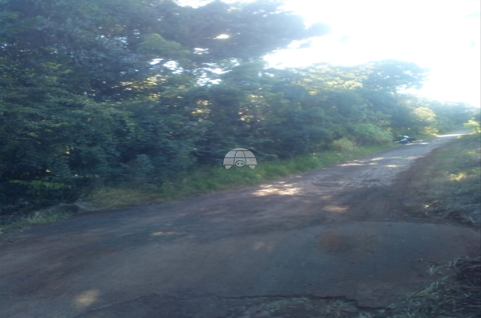 Terreno/Área à venda em Imaribo, Coronel Vivida — Portal Chave Fácil