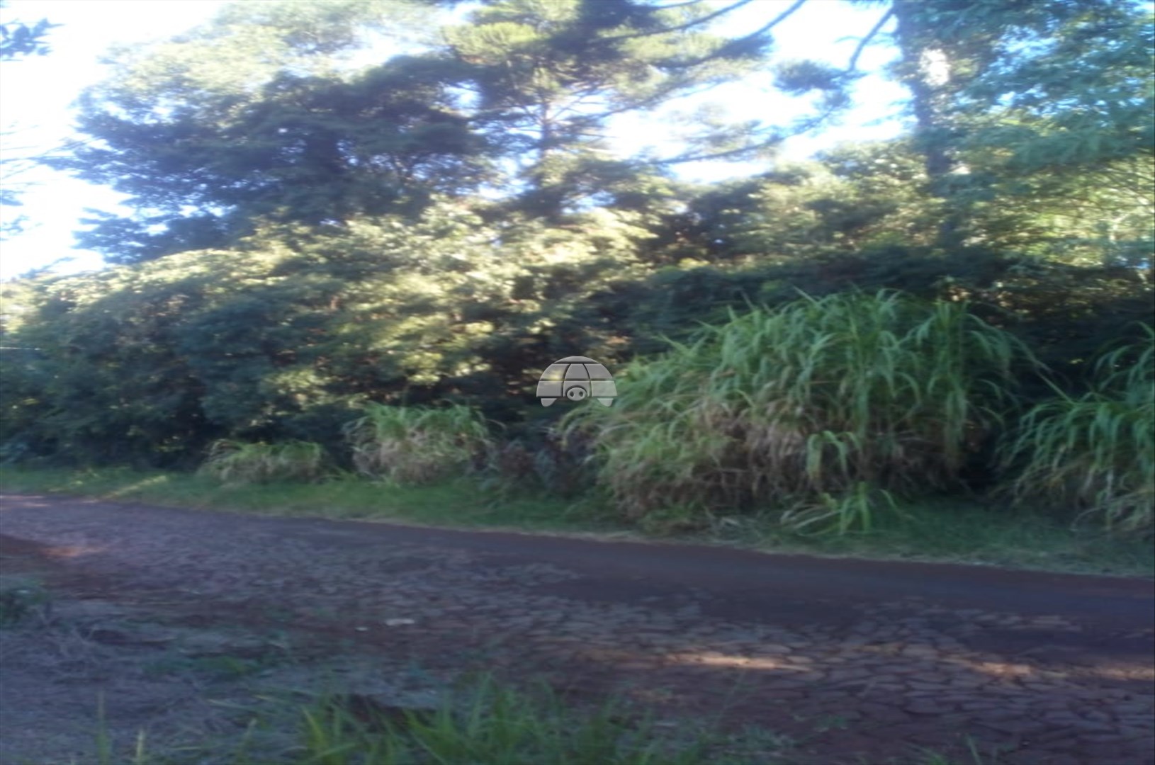 Terreno/Área à venda em Imaribo, Coronel Vivida — Portal Chave Fácil