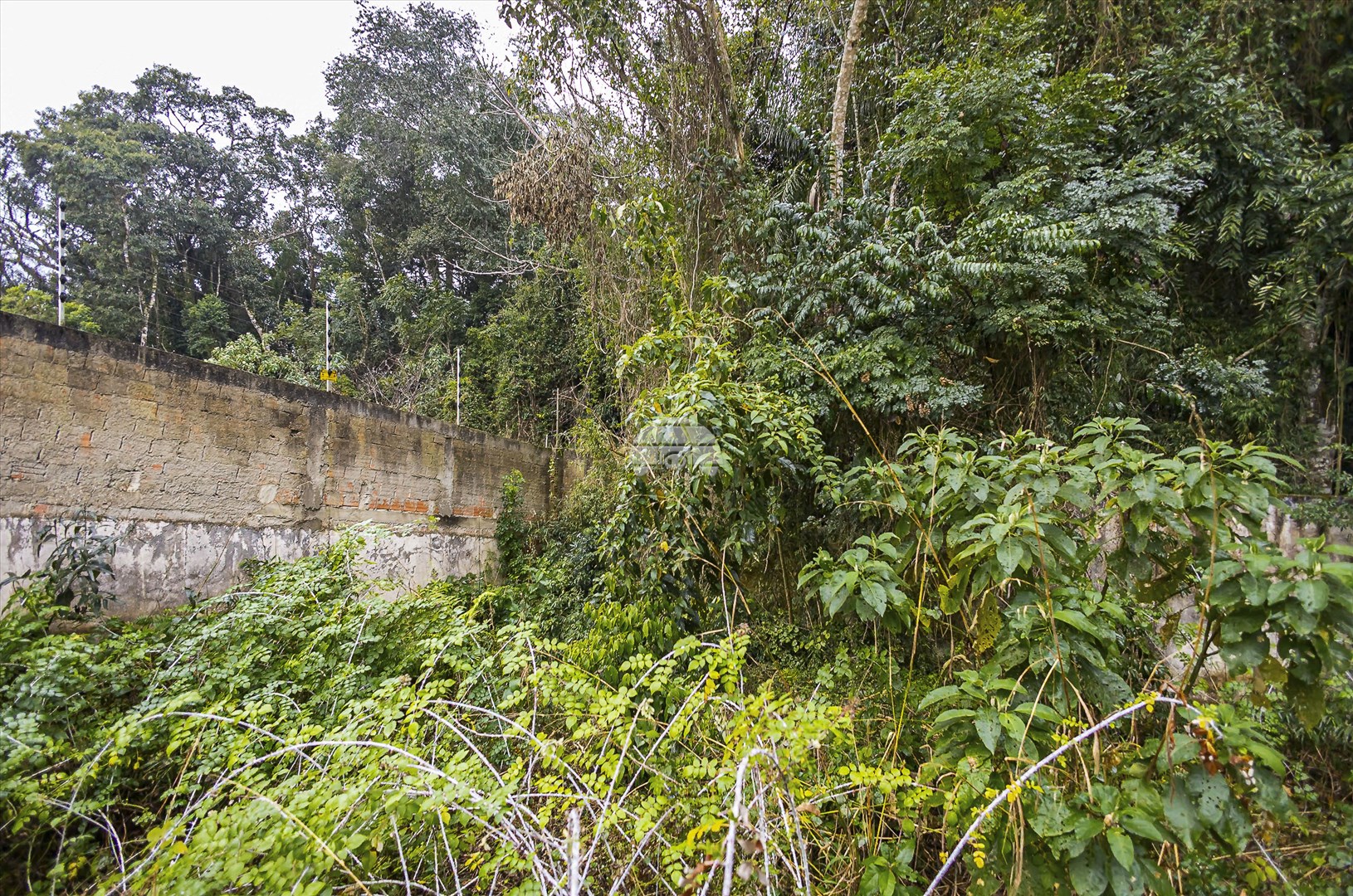 Terreno Comercial/Residencial para Venda no Bairro Santo Inácio ref. 228976 (10 / 10)