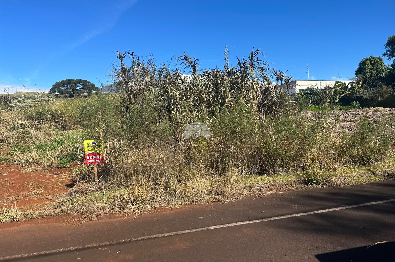 Terreno/Área à venda em São Francisco, Pato Branco — Portal Chave Fácil