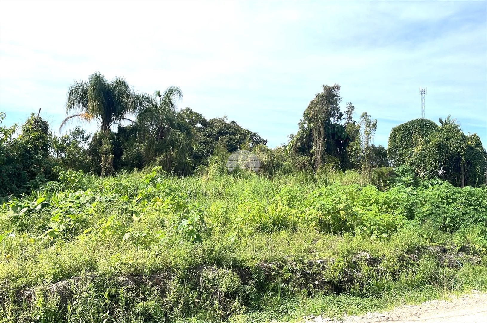 Terreno à venda em Cohapar, Guaratuba — Portal Chave Fácil
