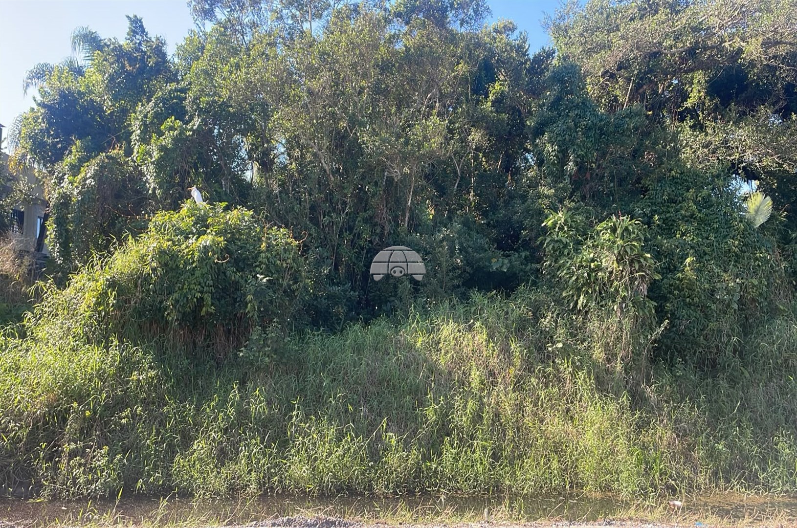 Terreno/Área à venda em Bal. Brejatuba, Guaratuba — Afortiori Imóveis