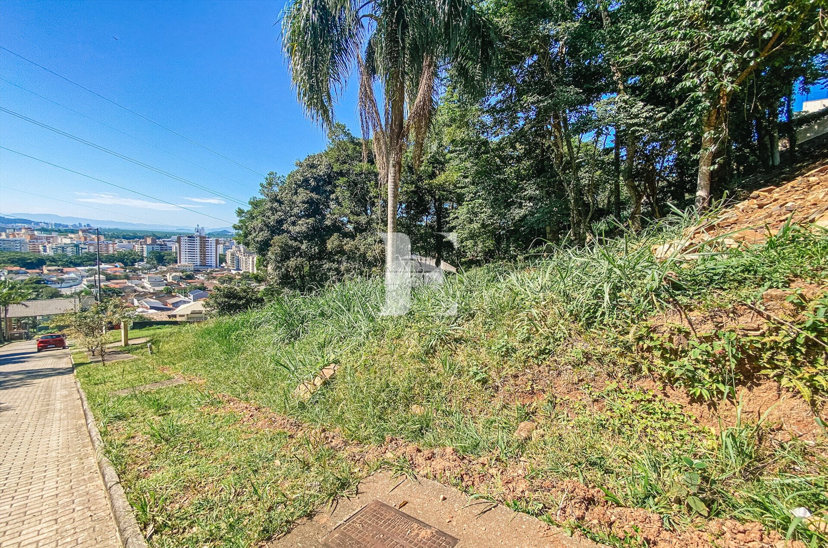 Terreno à venda em Córrego Grande, Florianópolis — Portal Chave Fácil