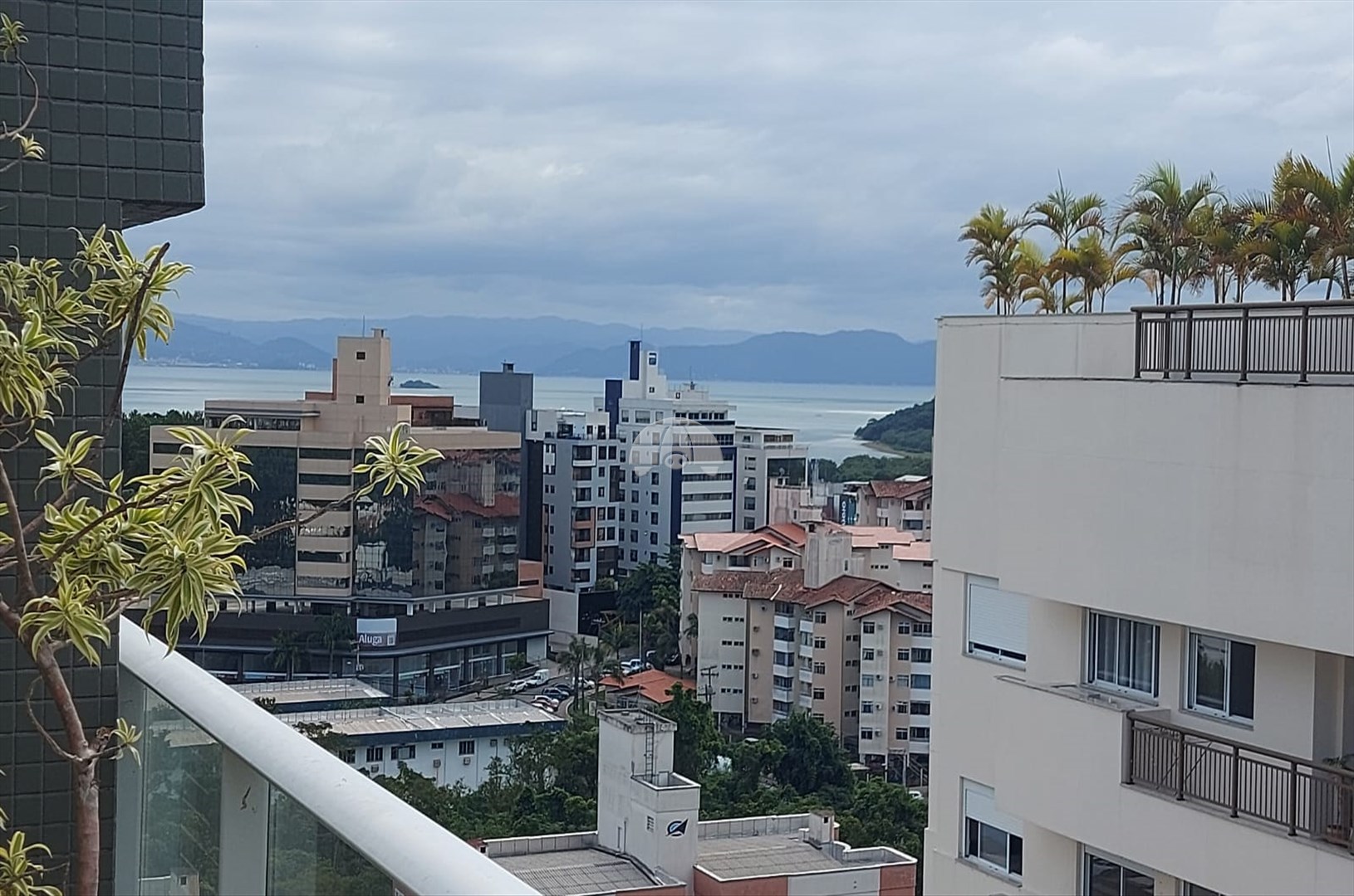 Cobertura Residencial para Venda no Bairro Itacorubi ref. 229287 (3 / 10)